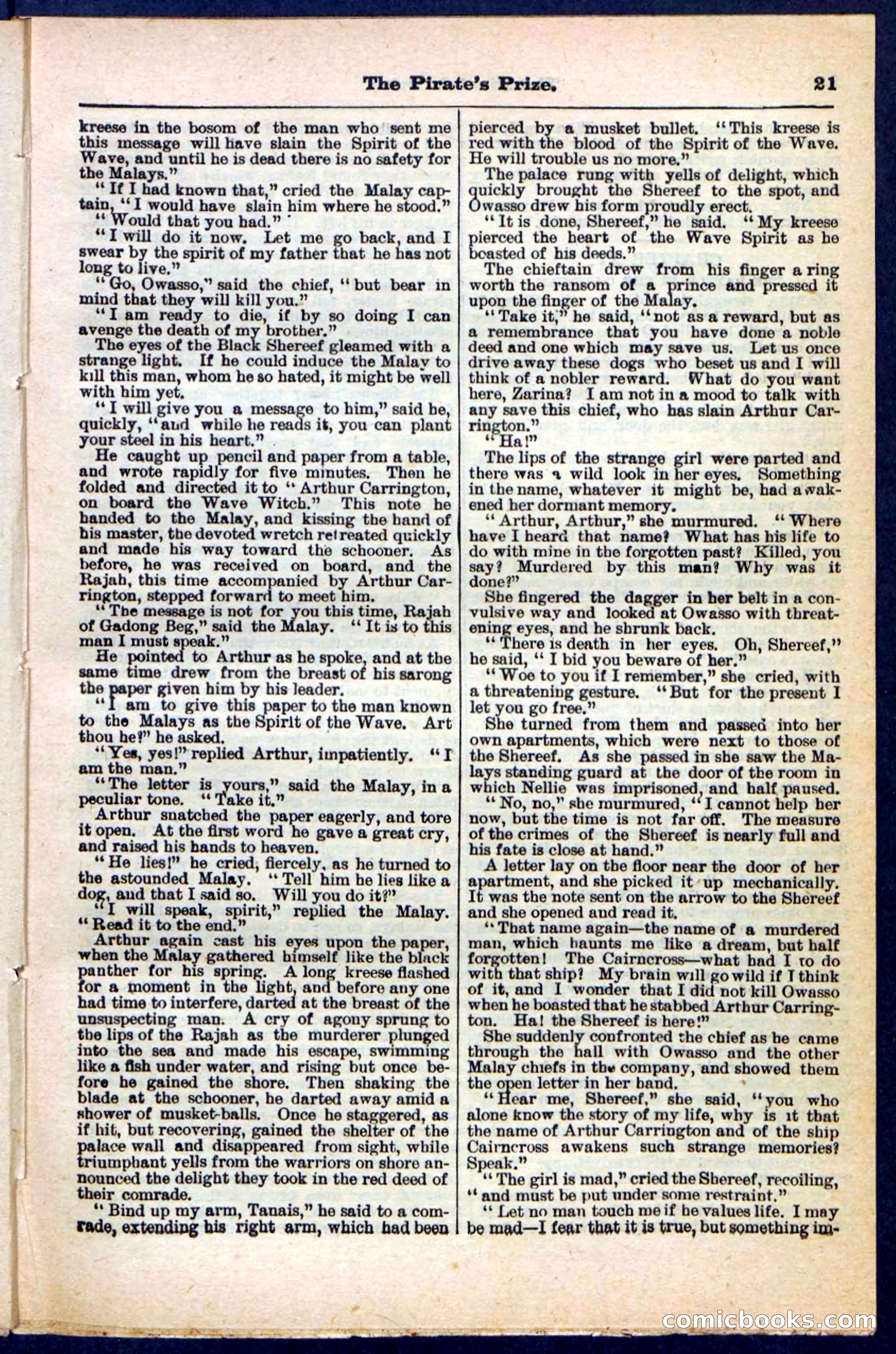 Beadle's Pocket Library No. 213: The Pirate's Prize — page 21 of 32