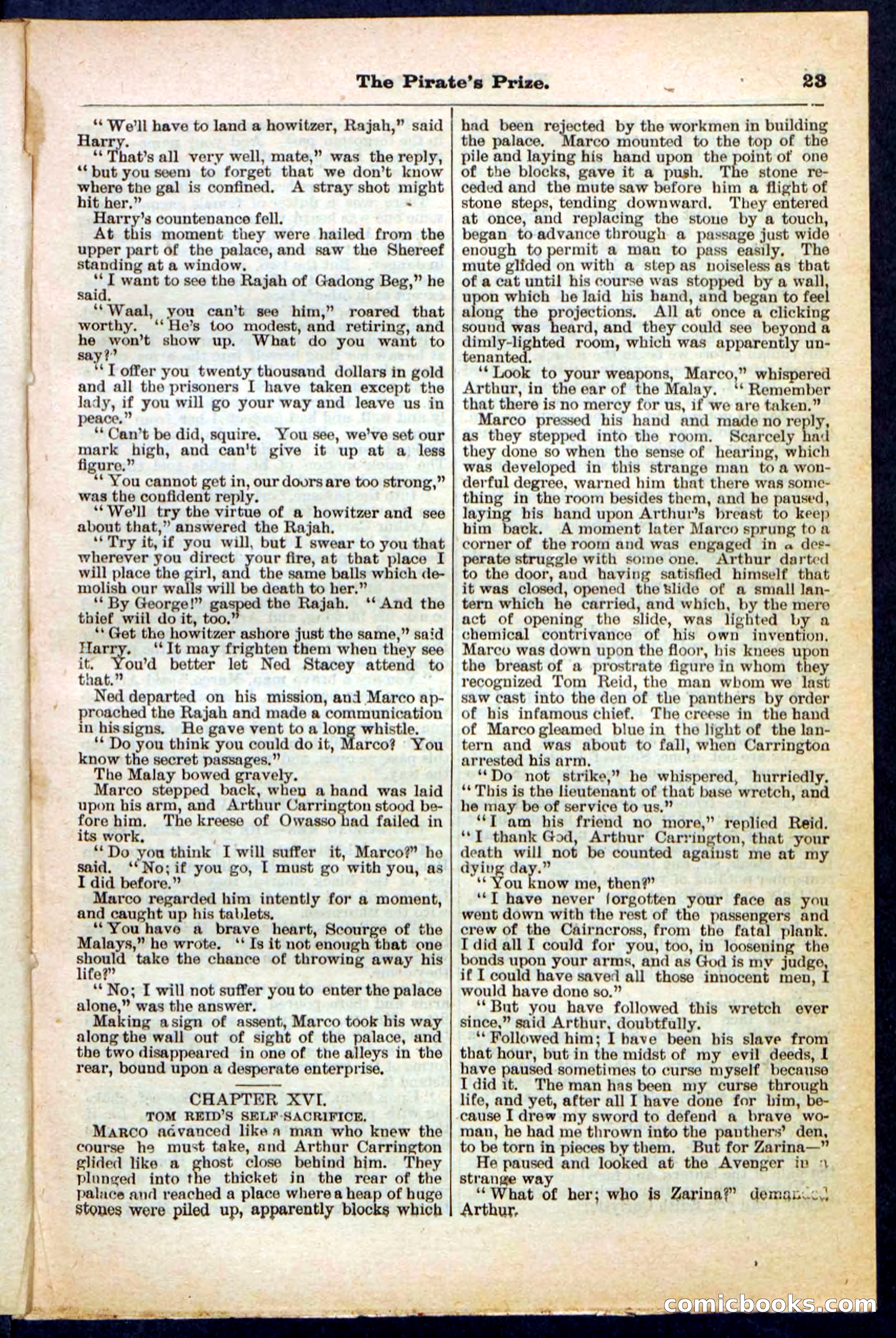 Beadle's Pocket Library No. 213: The Pirate's Prize — page 23 of 32