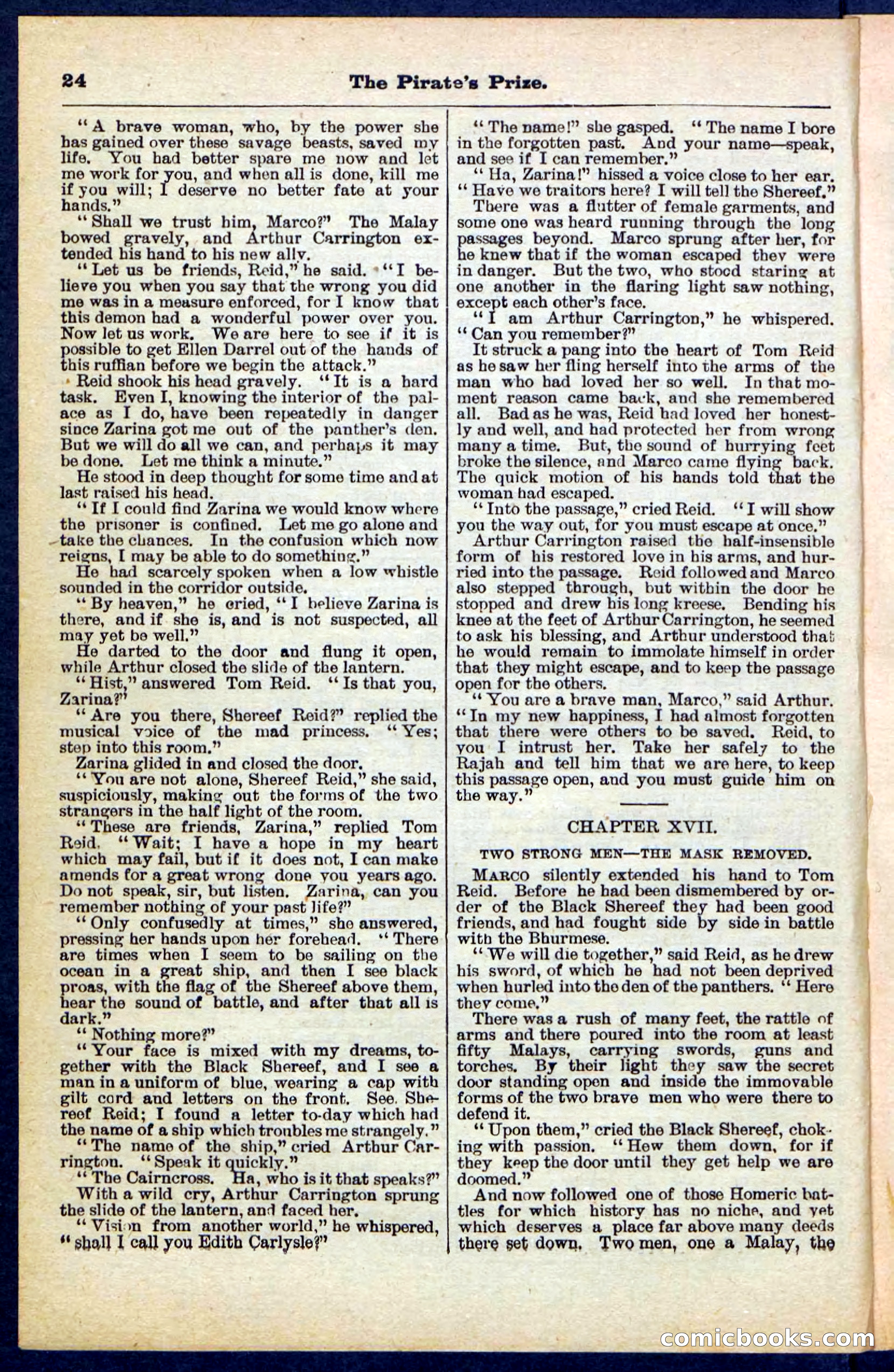 Beadle's Pocket Library No. 213: The Pirate's Prize — page 24 of 32