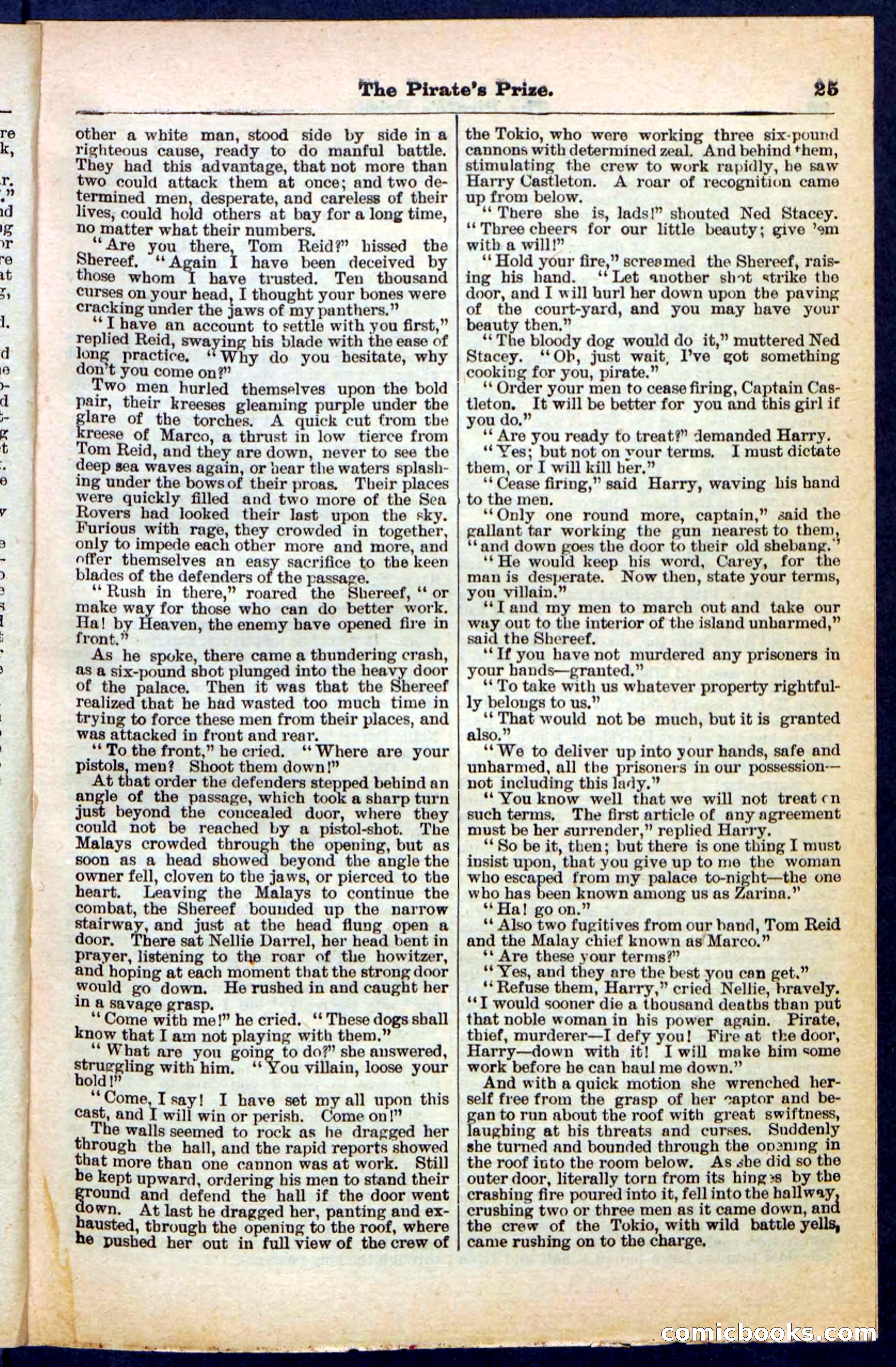 Beadle's Pocket Library No. 213: The Pirate's Prize — page 25 of 32