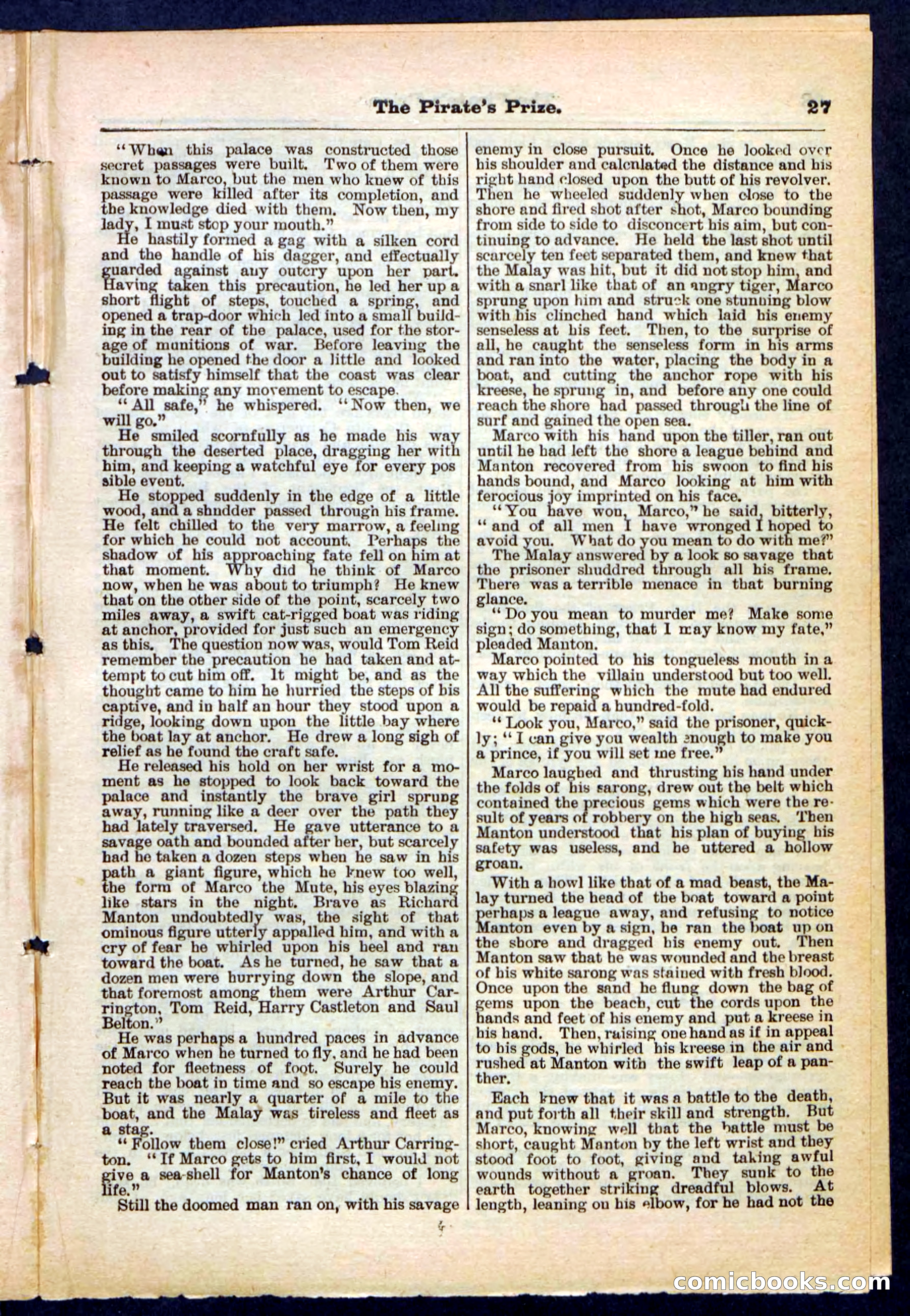 Beadle's Pocket Library No. 213: The Pirate's Prize — page 27 of 32