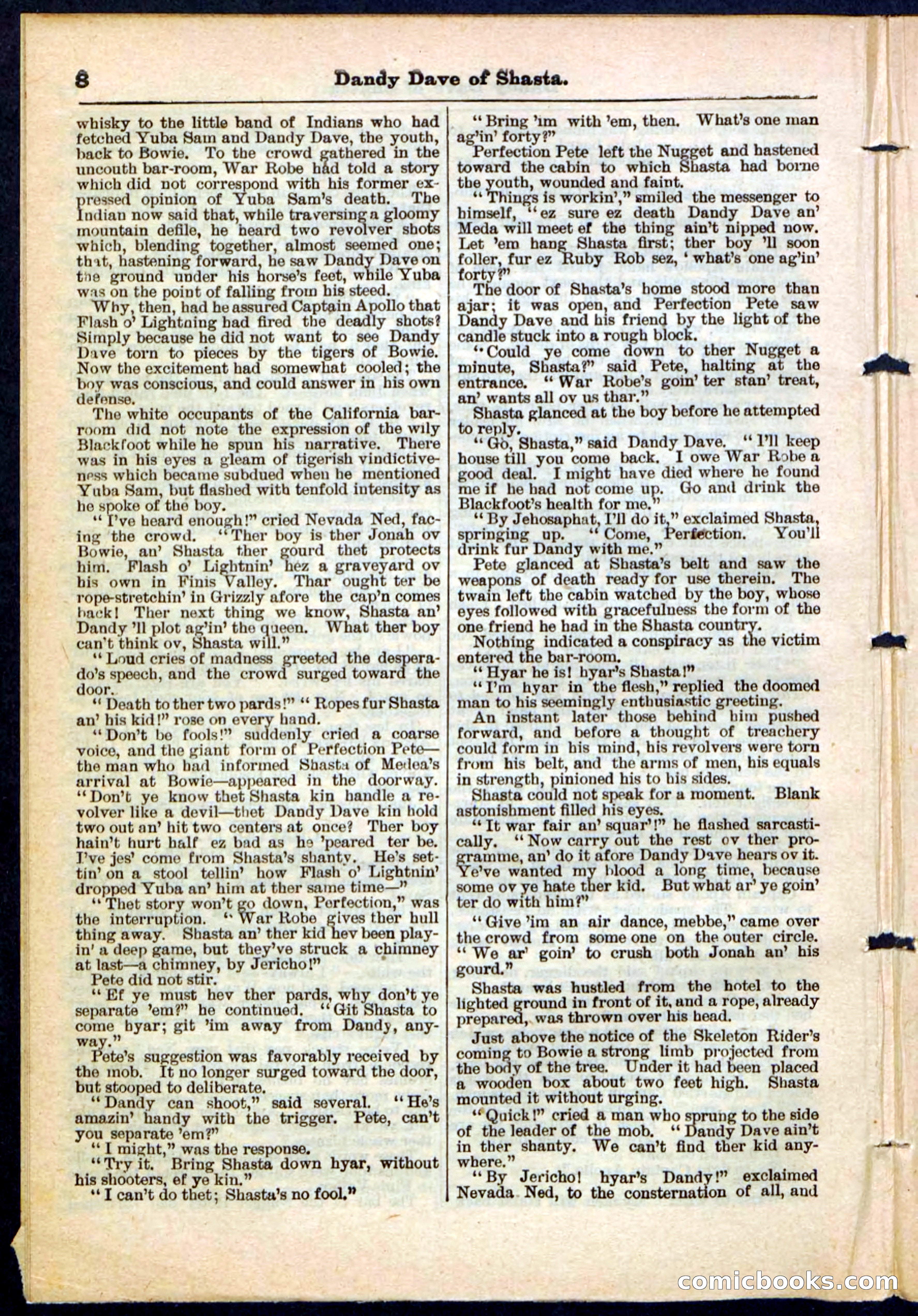 Beadle's Pocket Library No. 214 — page 8 of 32
