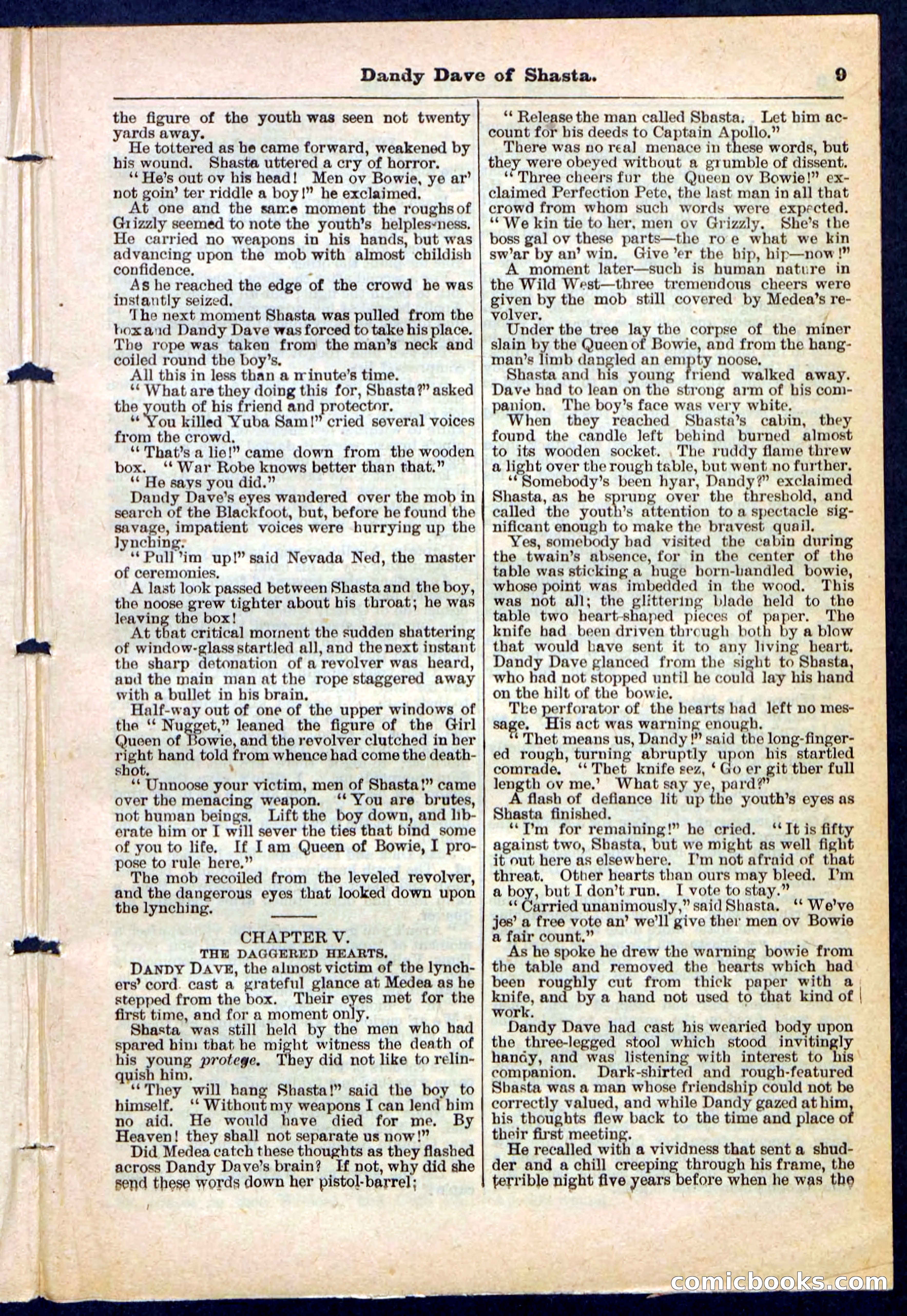 Beadle's Pocket Library No. 214 — page 9 of 32