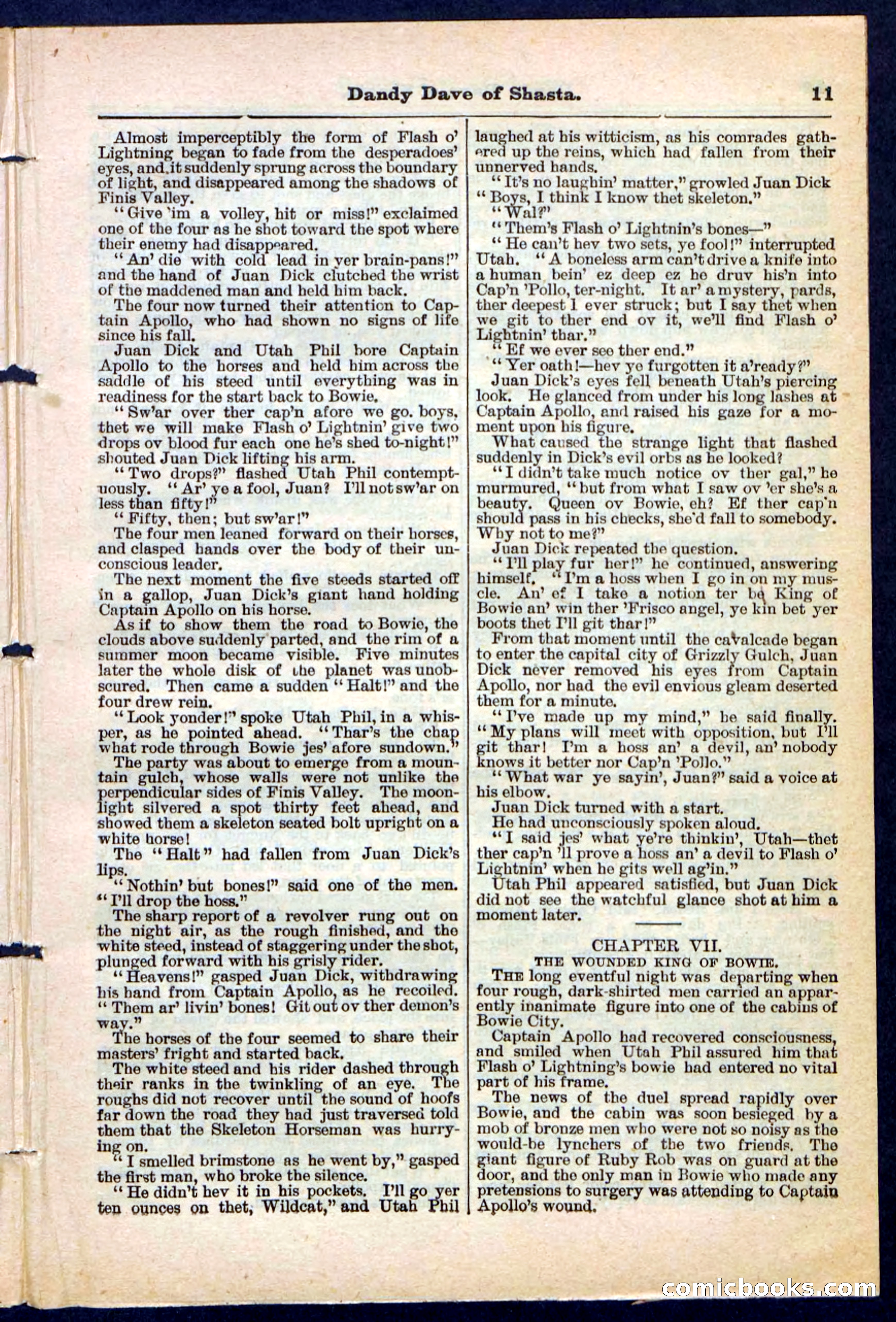 Beadle's Pocket Library No. 214 — page 11 of 32
