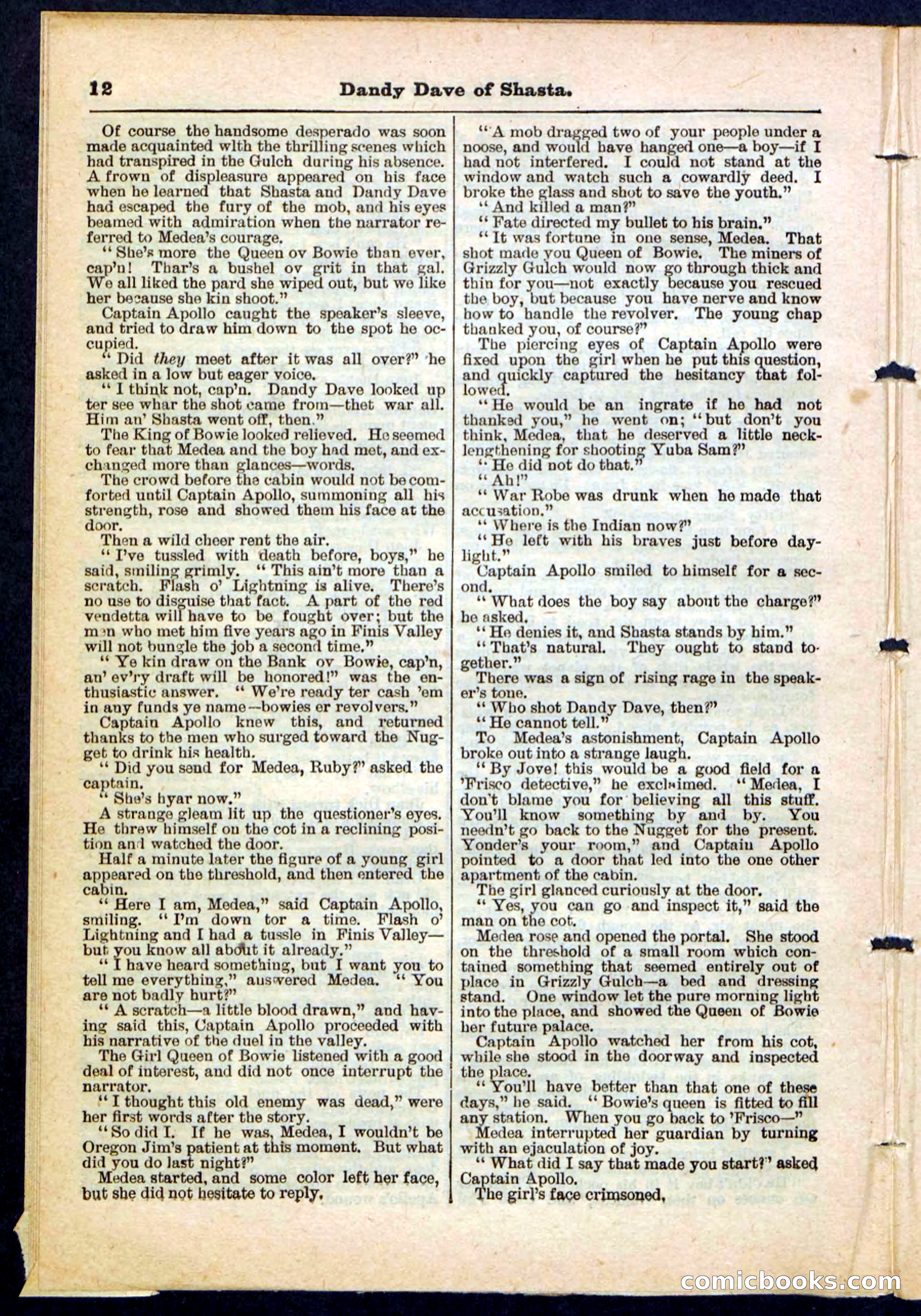 Beadle's Pocket Library No. 214 — page 12 of 32