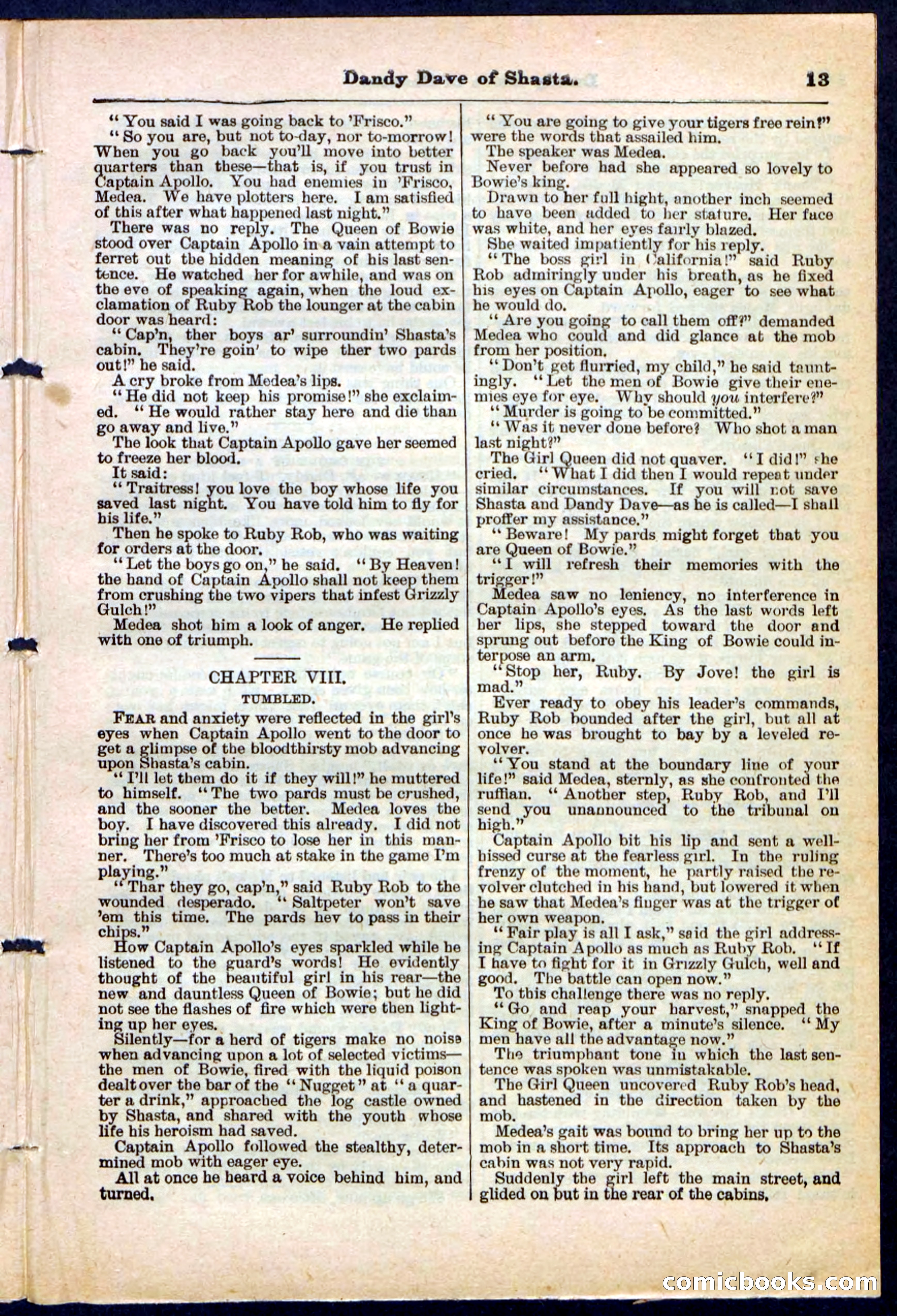 Beadle's Pocket Library No. 214 — page 13 of 32