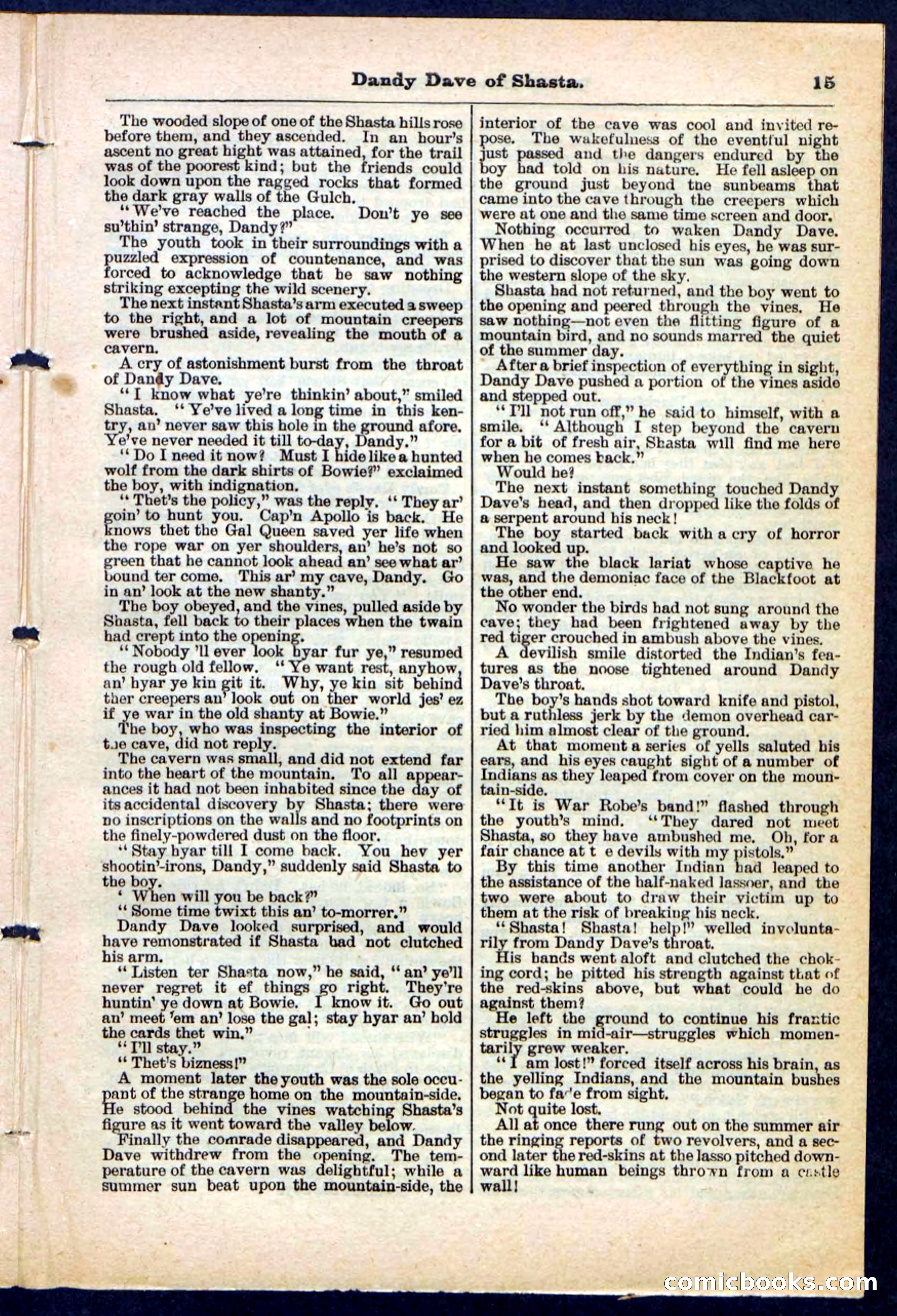 Beadle's Pocket Library No. 214 — page 15 of 32