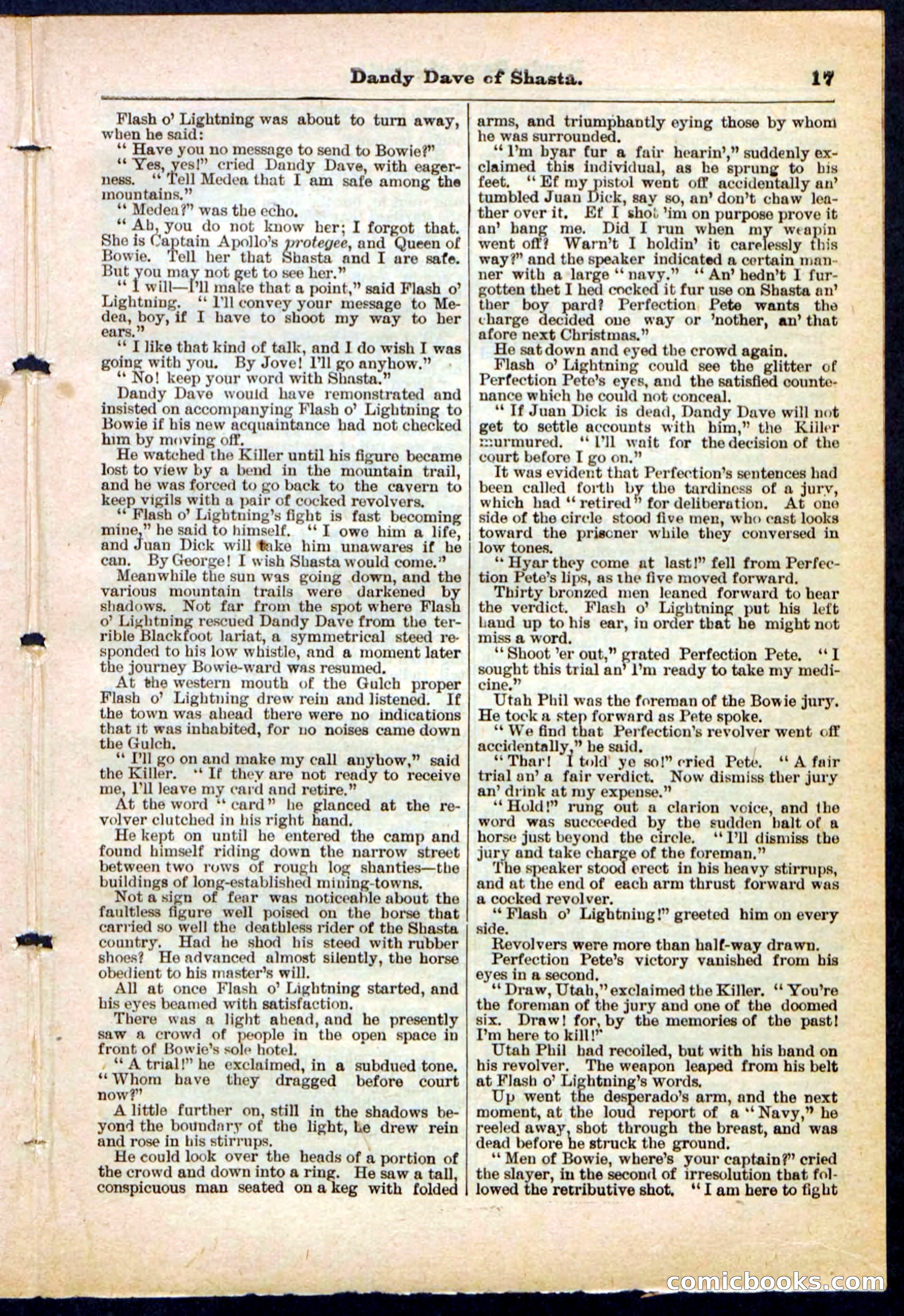 Beadle's Pocket Library No. 214 — page 17 of 32