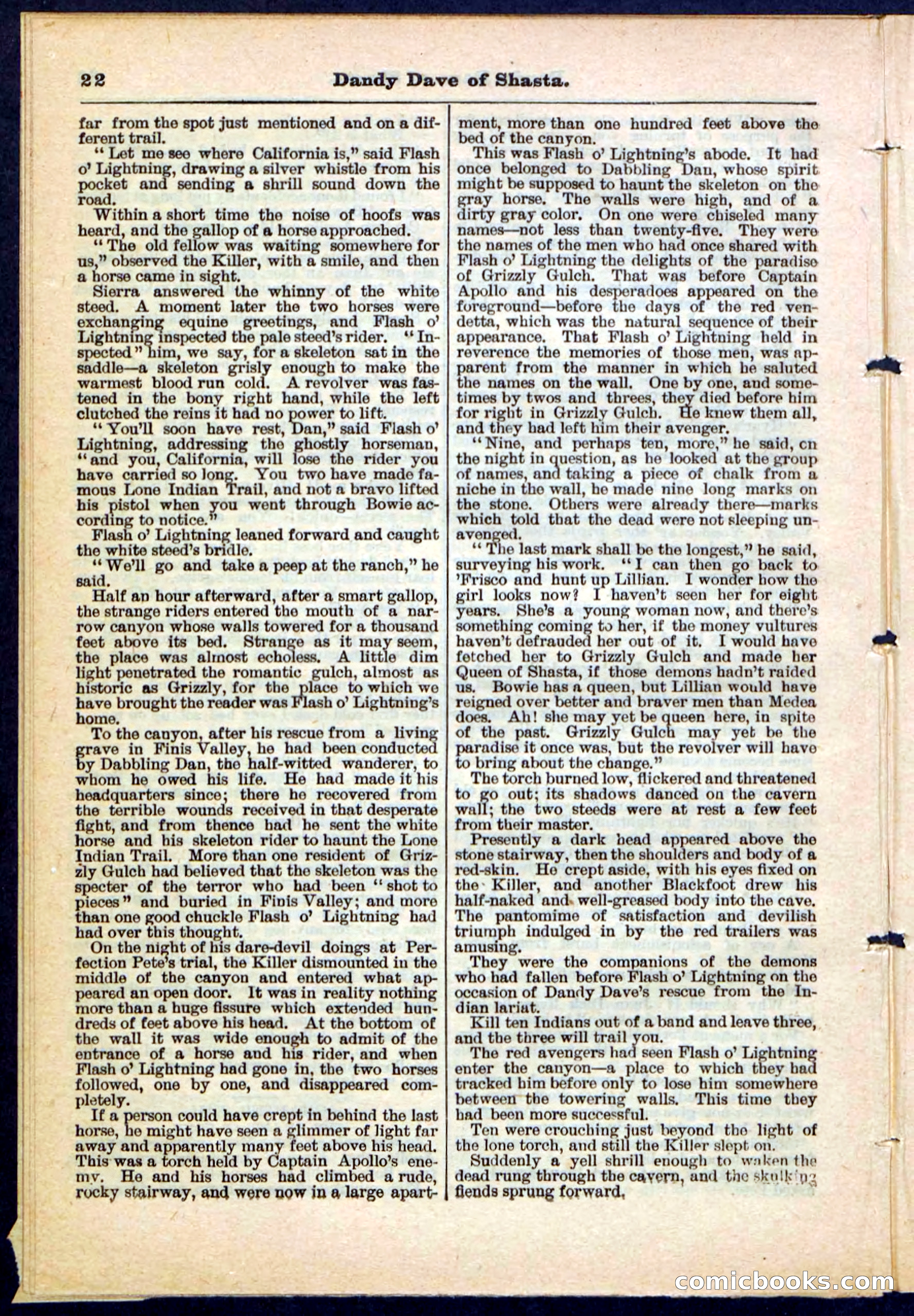 Beadle's Pocket Library No. 214 — page 22 of 32