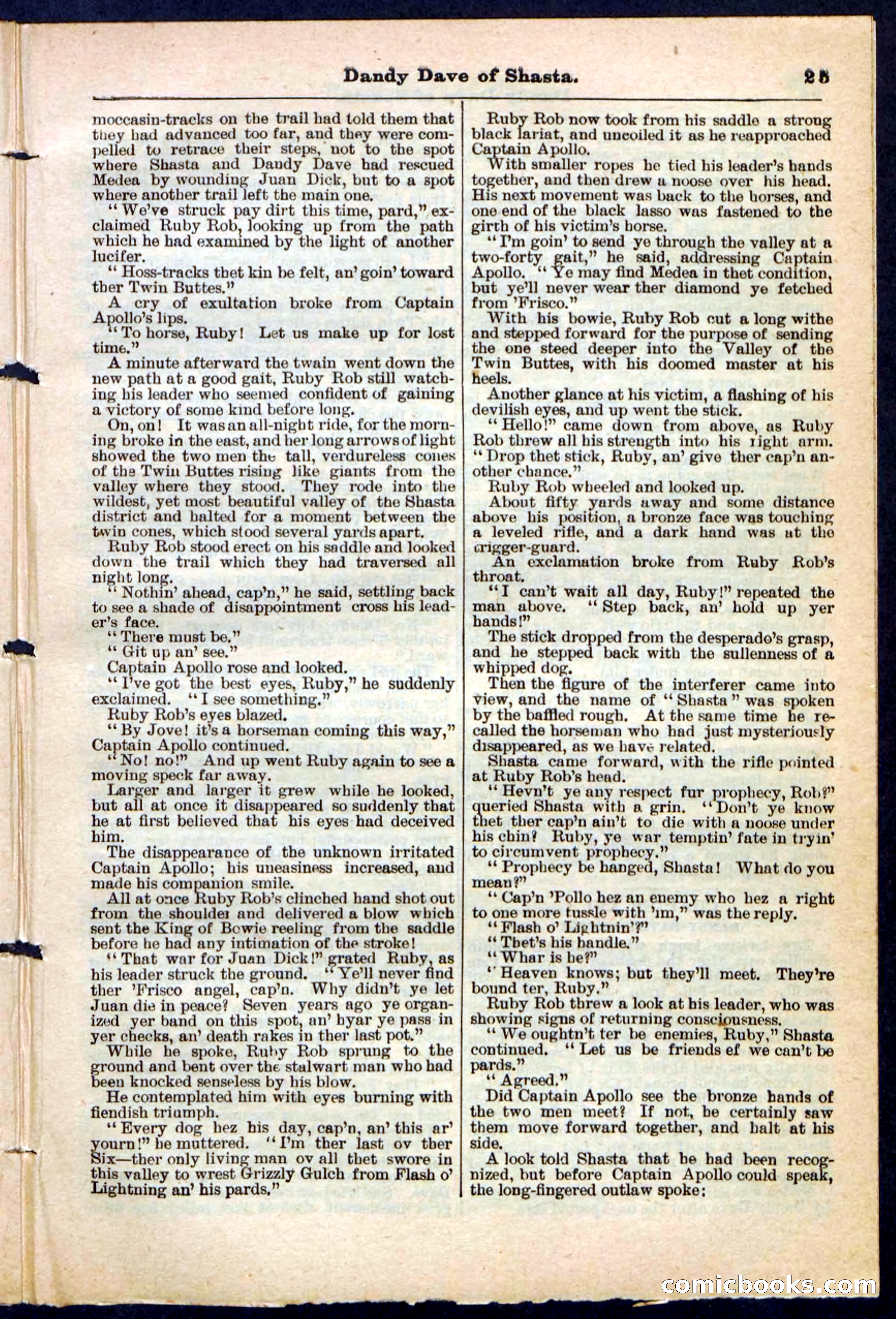 Beadle's Pocket Library No. 214 — page 25 of 32