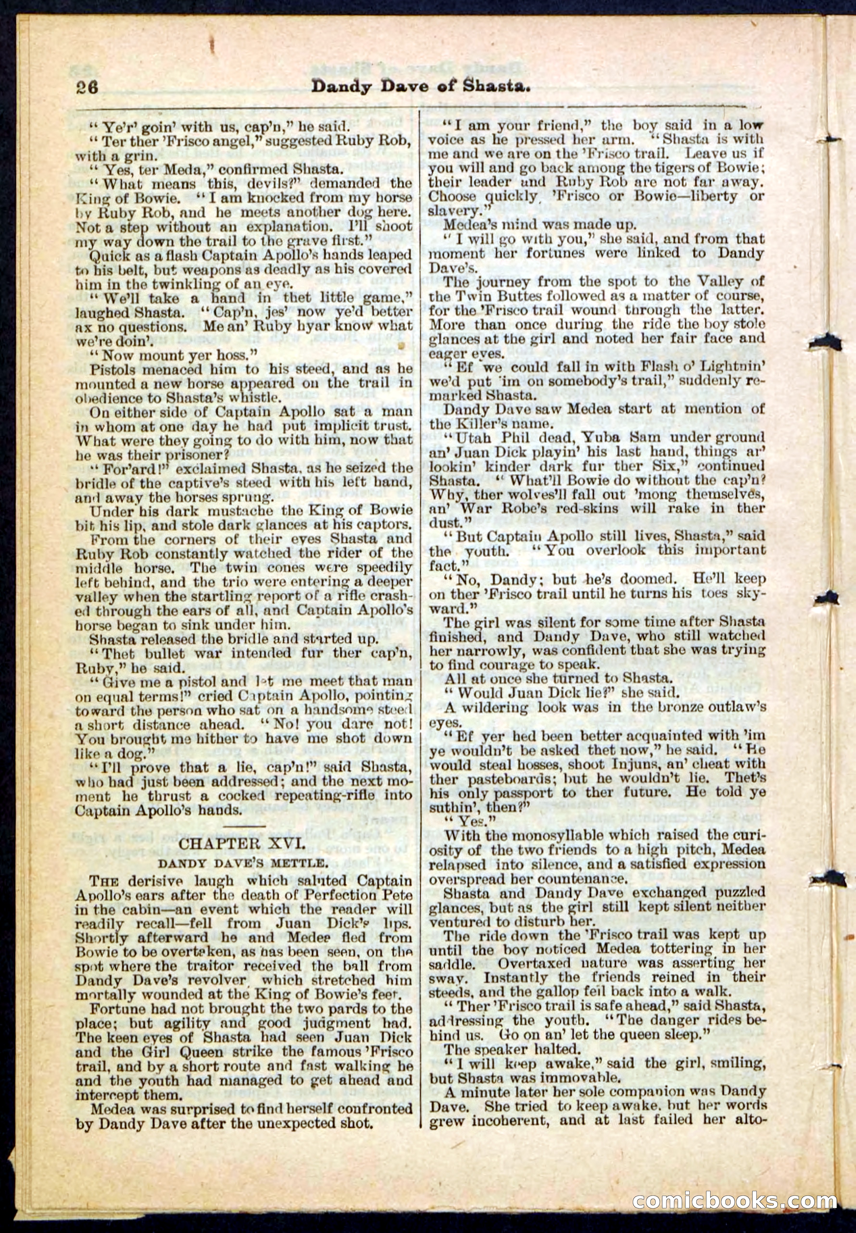 Beadle's Pocket Library No. 214 — page 26 of 32