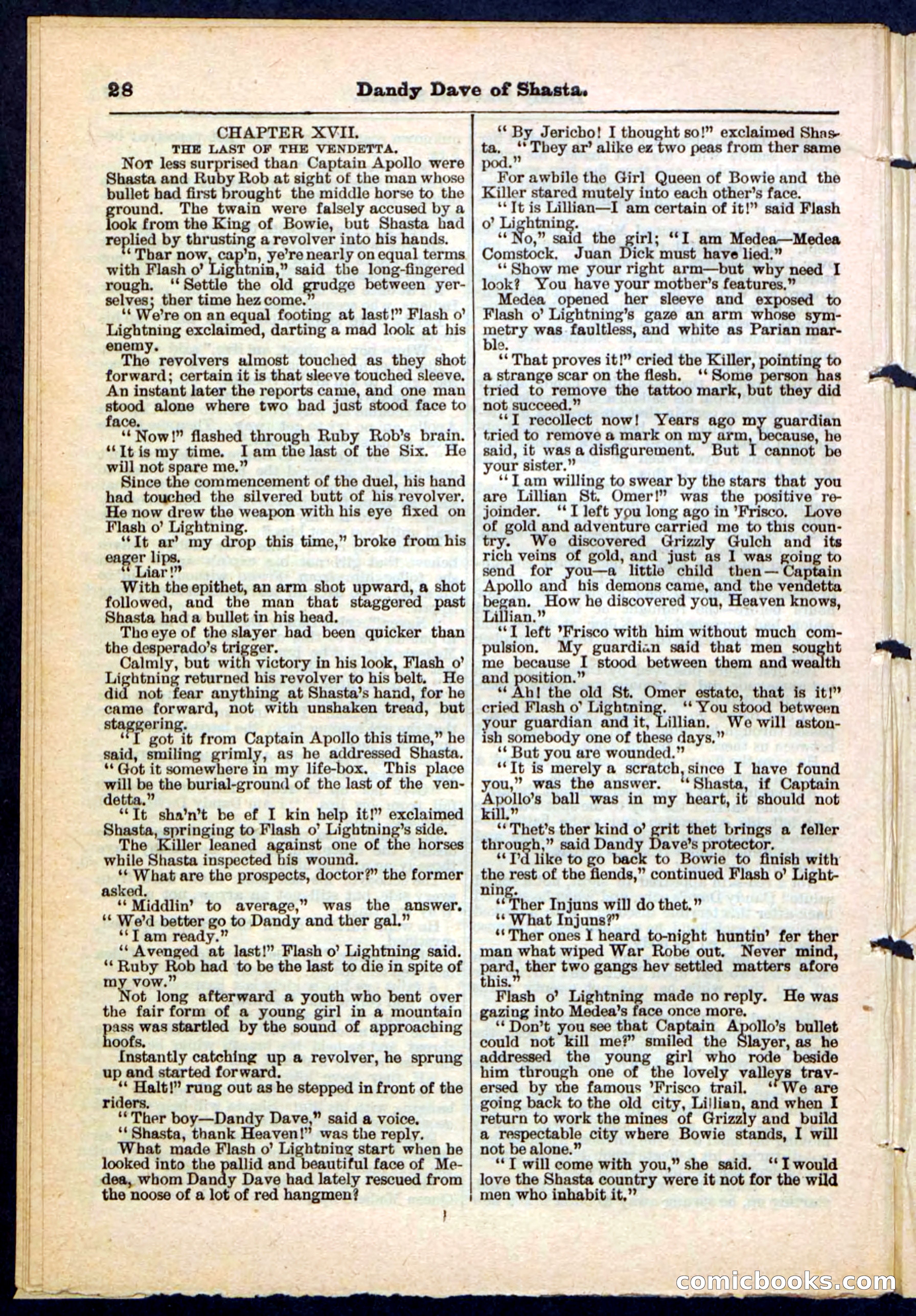 Beadle's Pocket Library No. 214 — page 28 of 32