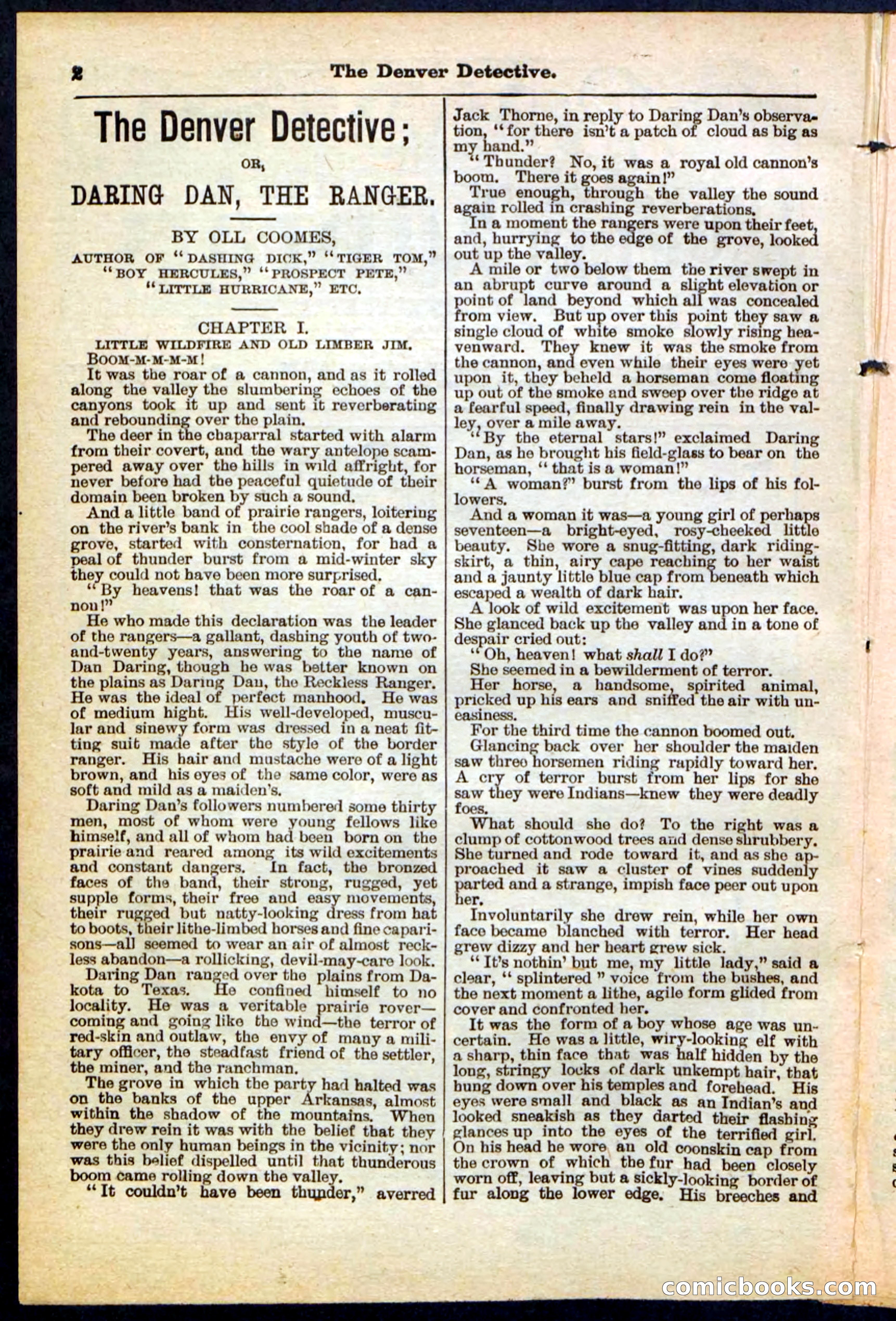 Beadle's Pocket Library No. 215 — page 2 of 32
