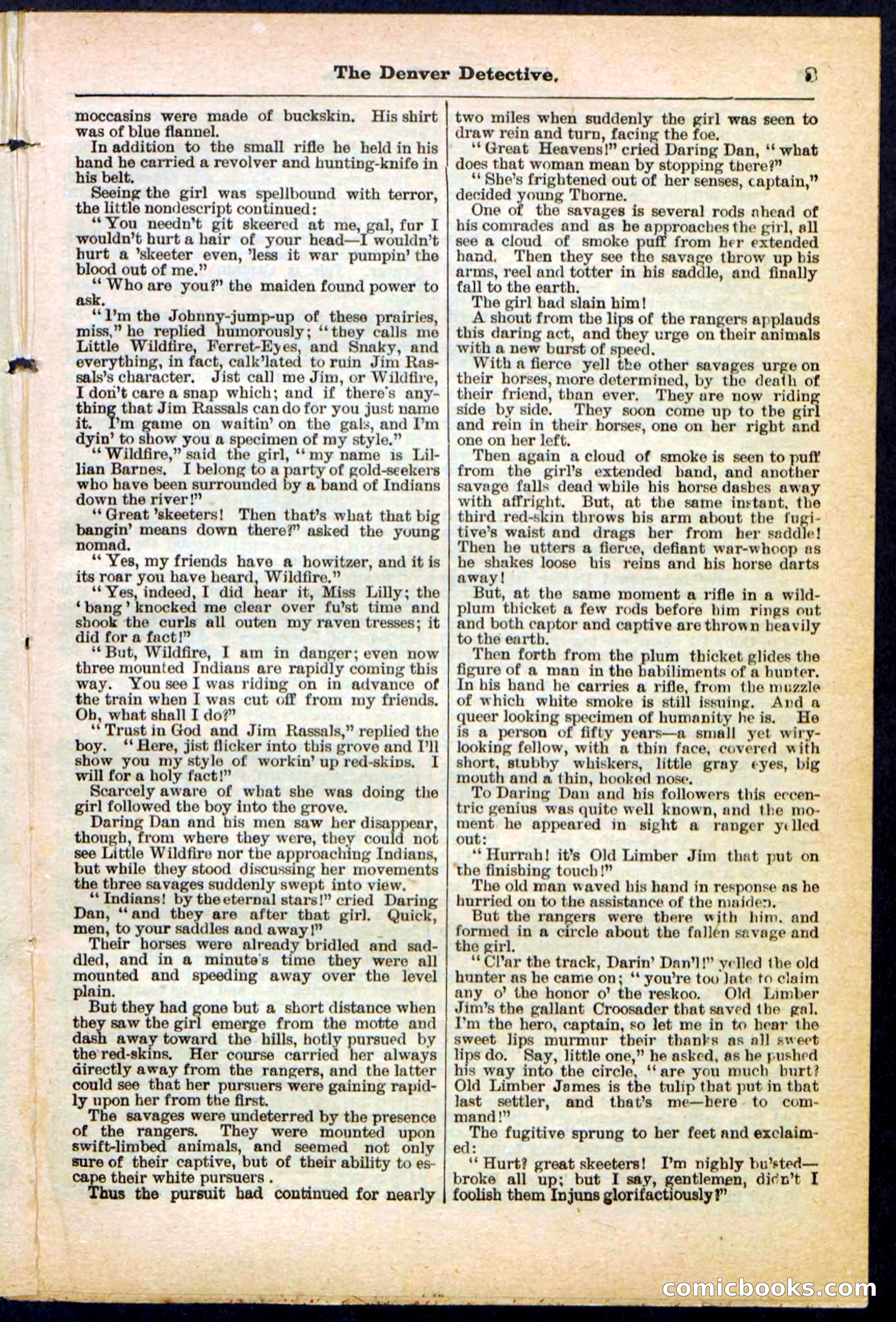 Beadle's Pocket Library No. 215 — page 3 of 32