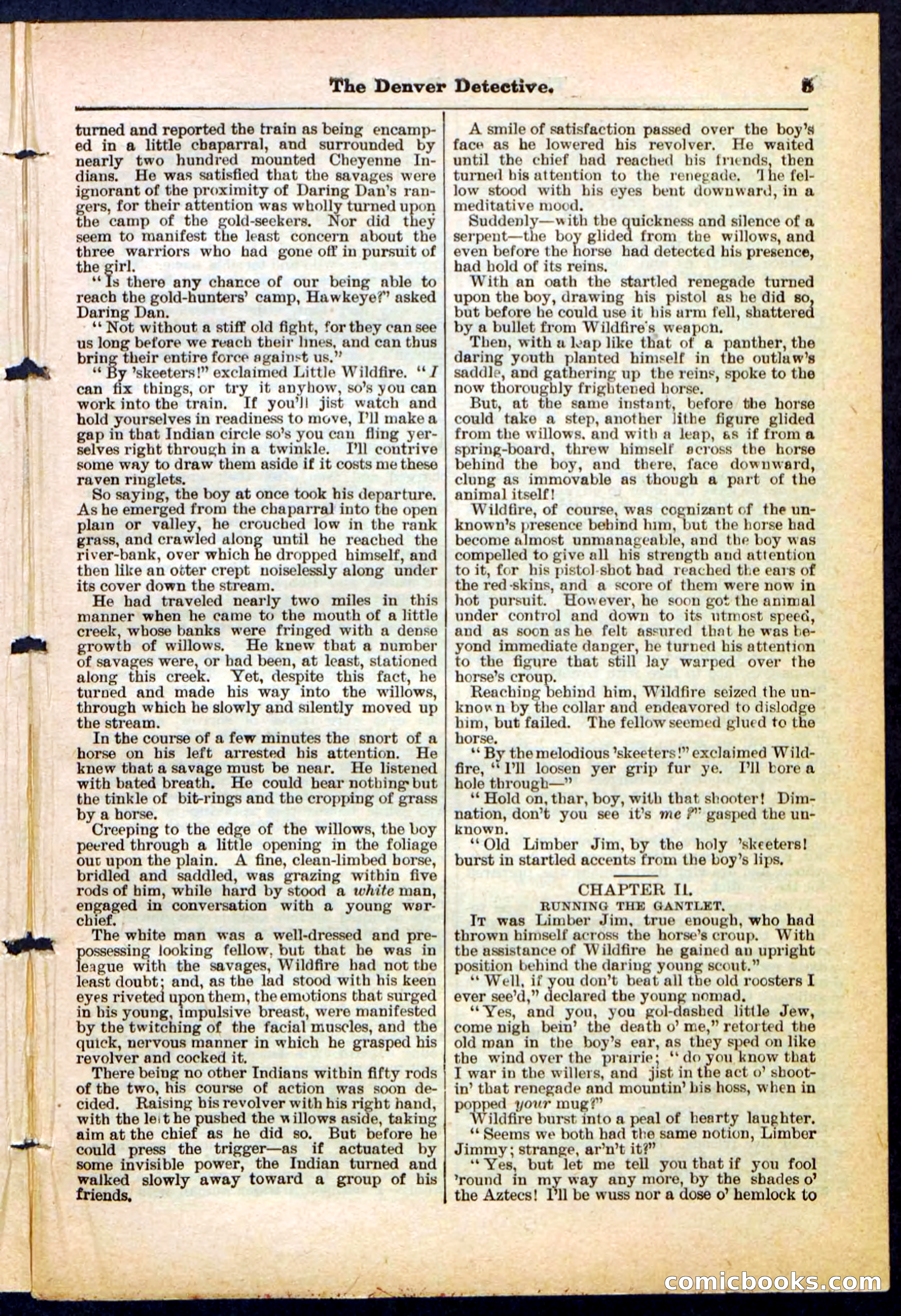 Beadle's Pocket Library No. 215 — page 5 of 32