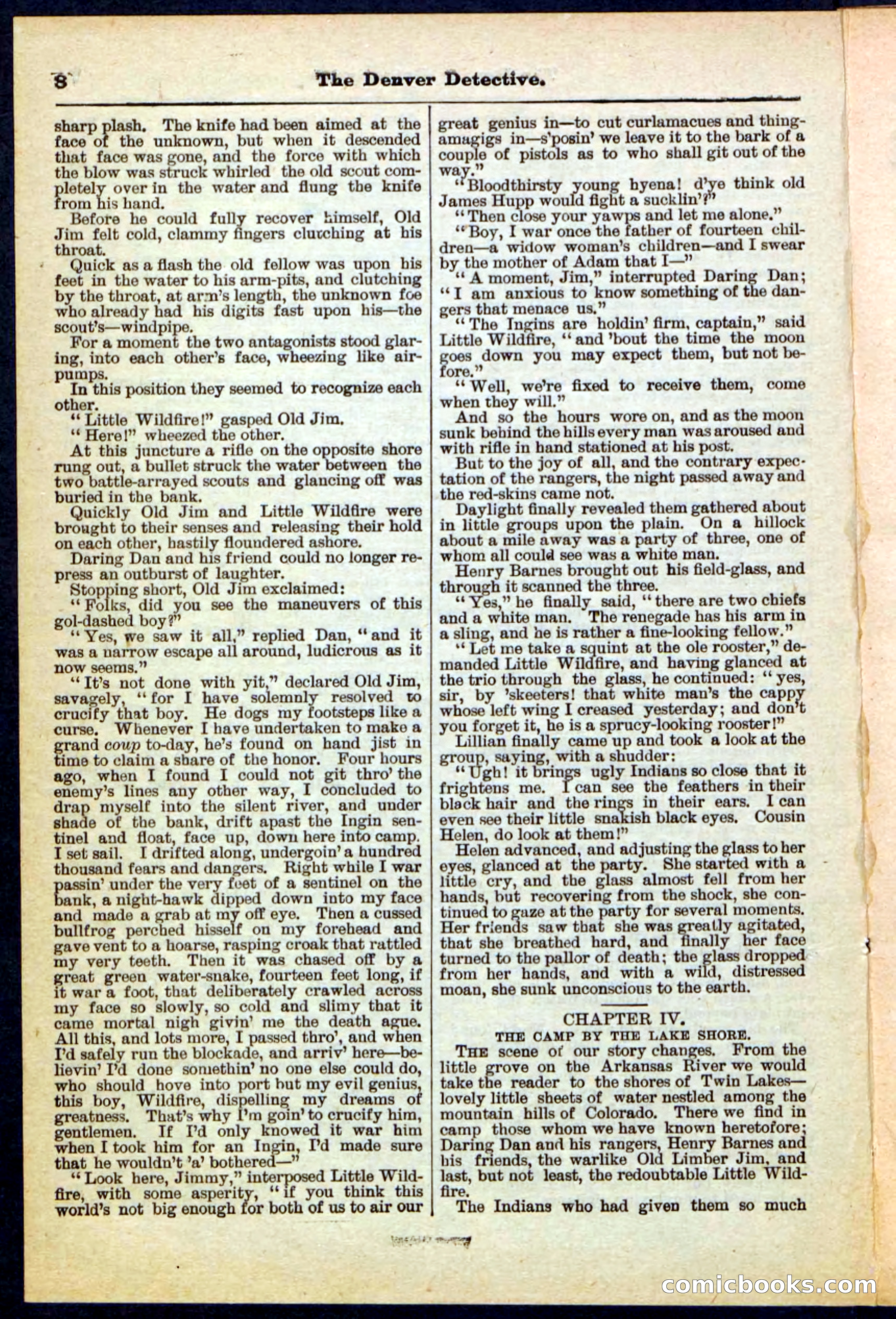 Beadle's Pocket Library No. 215 — page 8 of 32