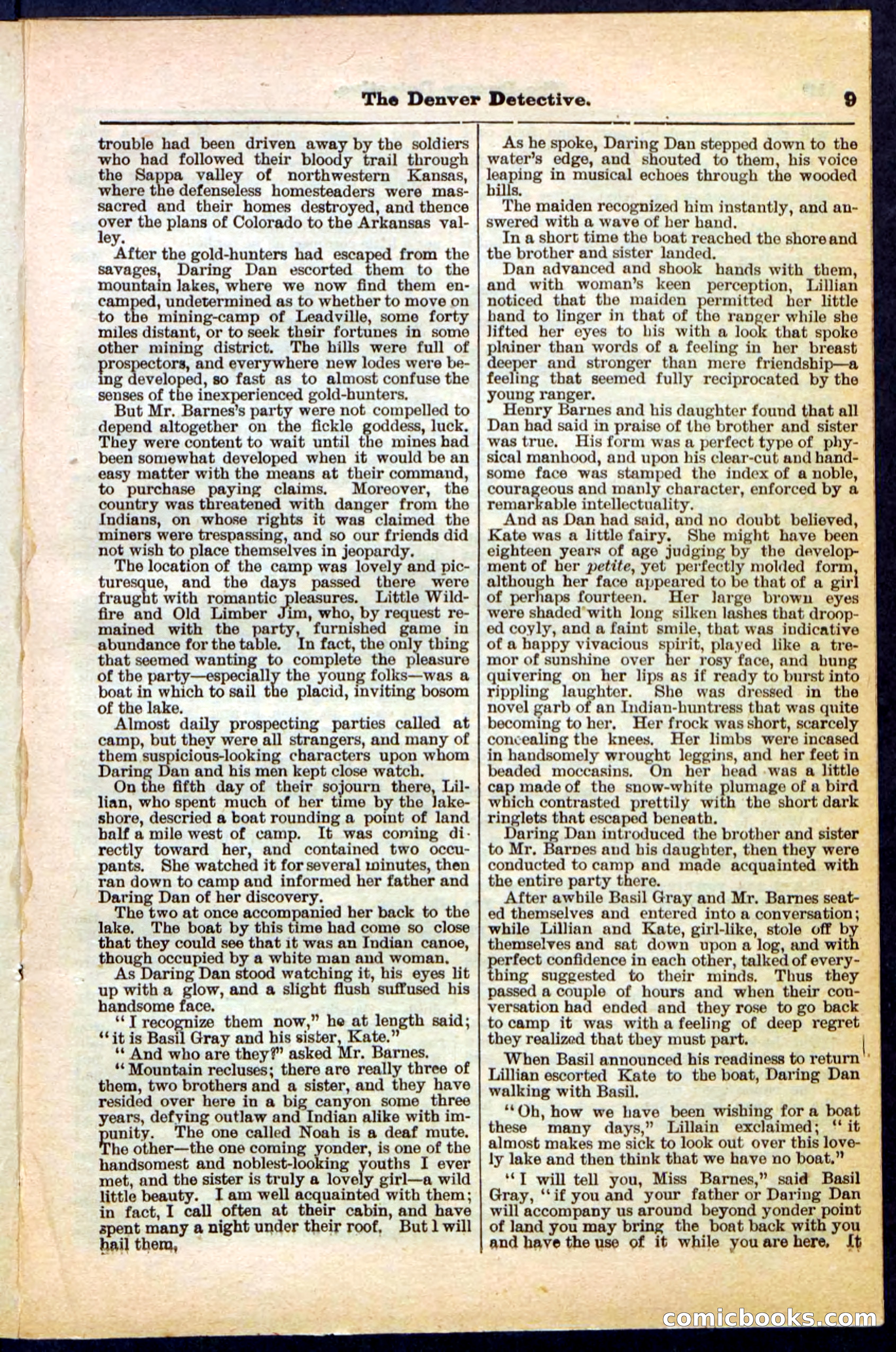 Beadle's Pocket Library No. 215 — page 9 of 32