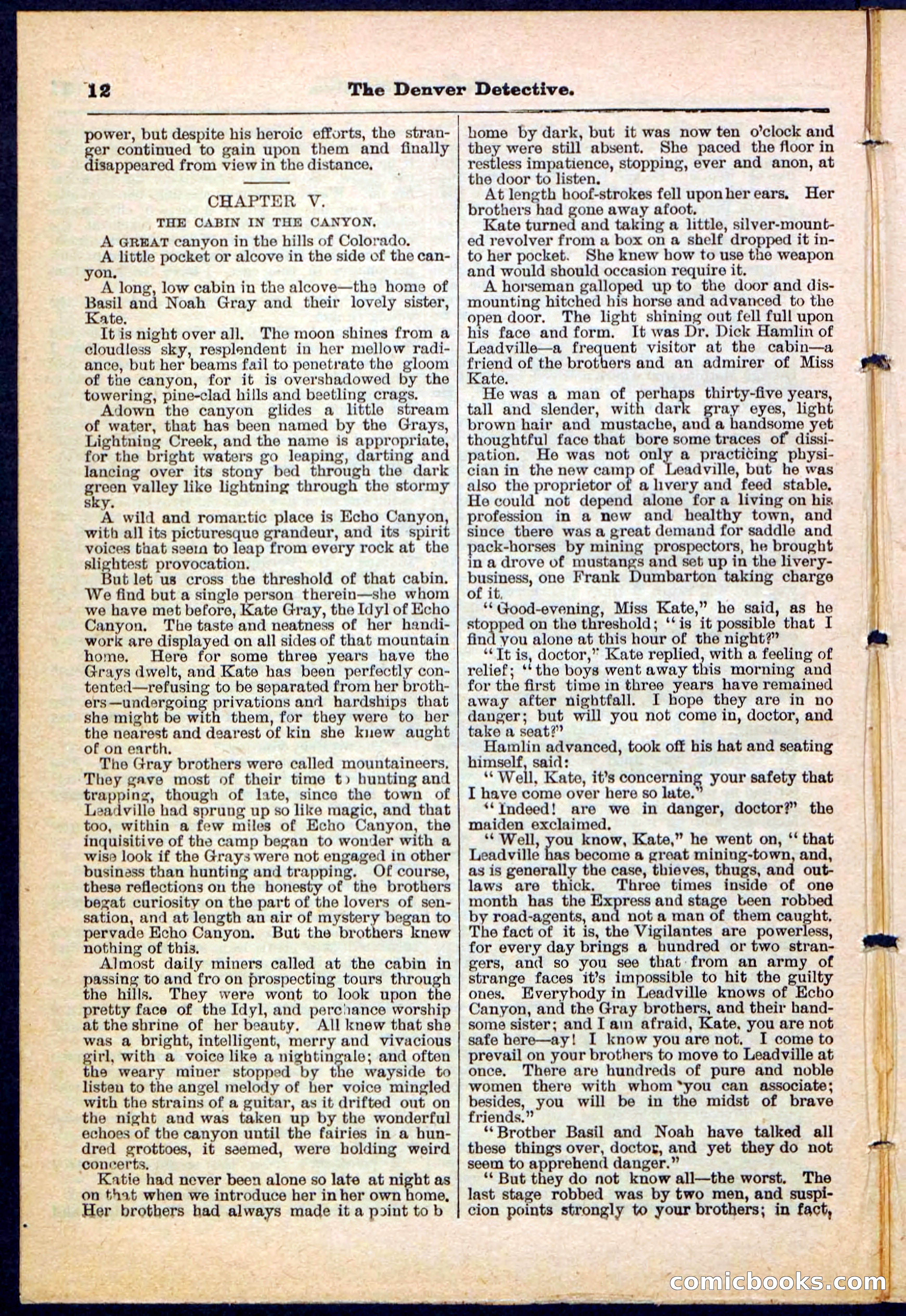 Beadle's Pocket Library No. 215 — page 12 of 32