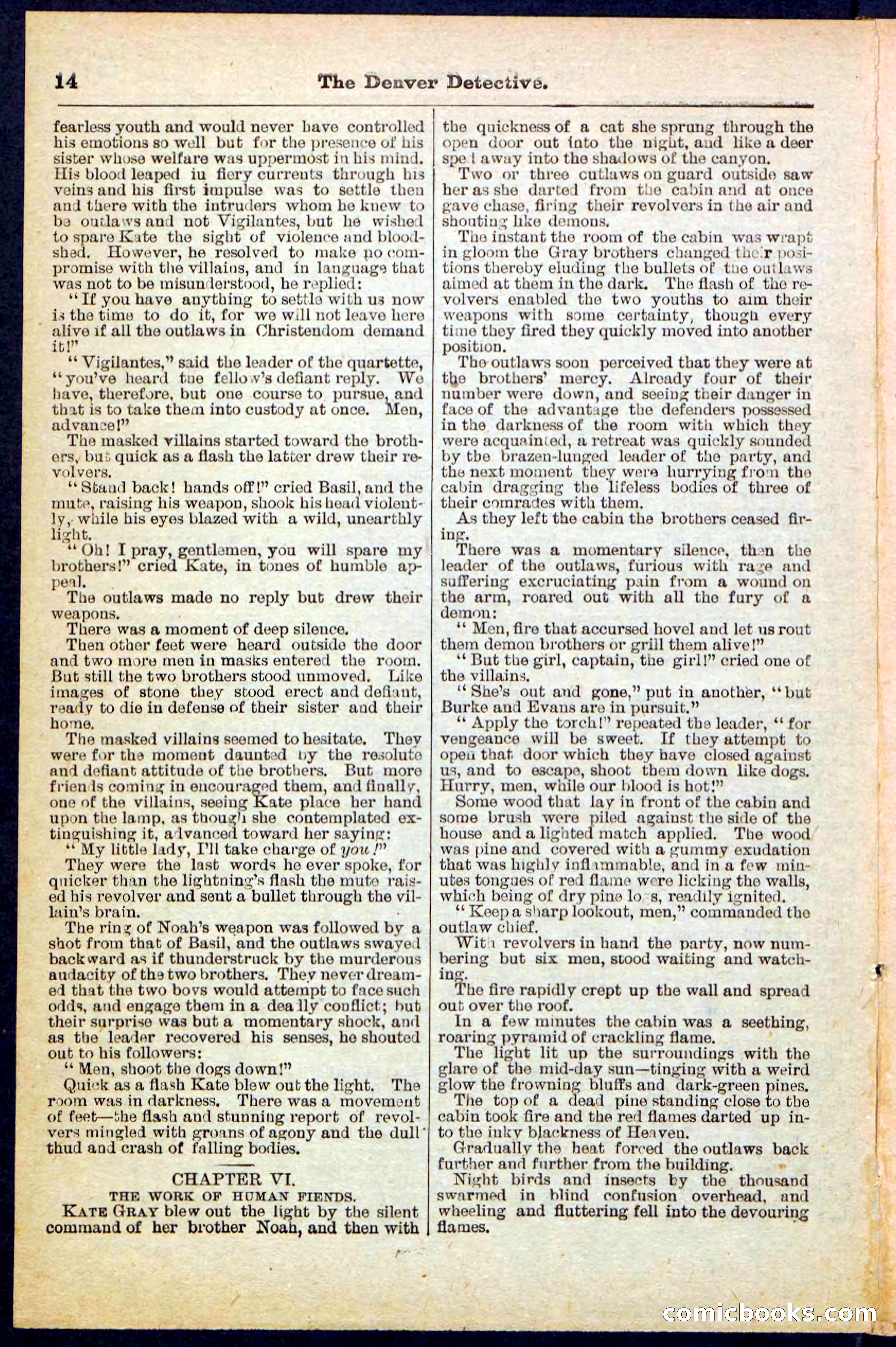 Beadle's Pocket Library No. 215 — page 14 of 32