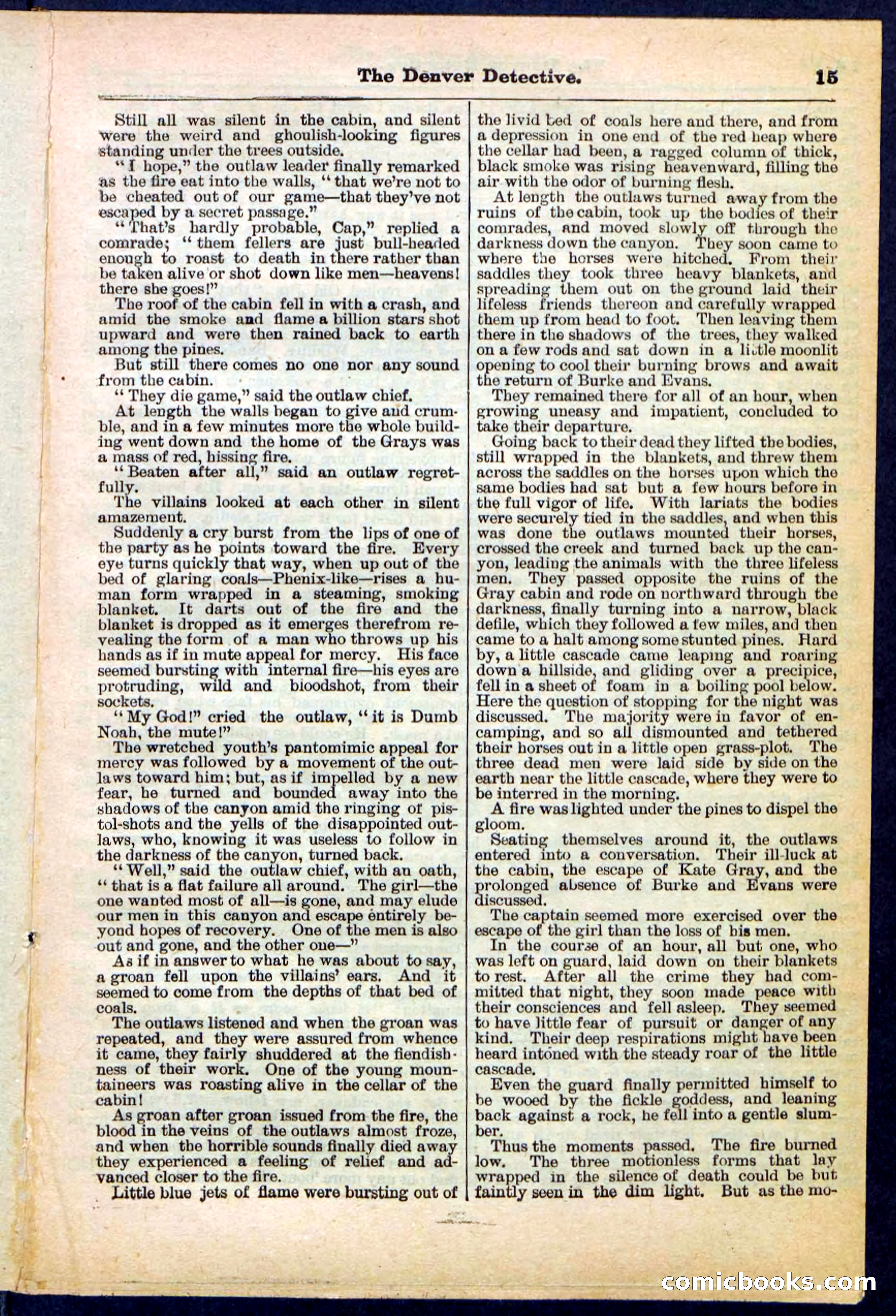 Beadle's Pocket Library No. 215 — page 15 of 32