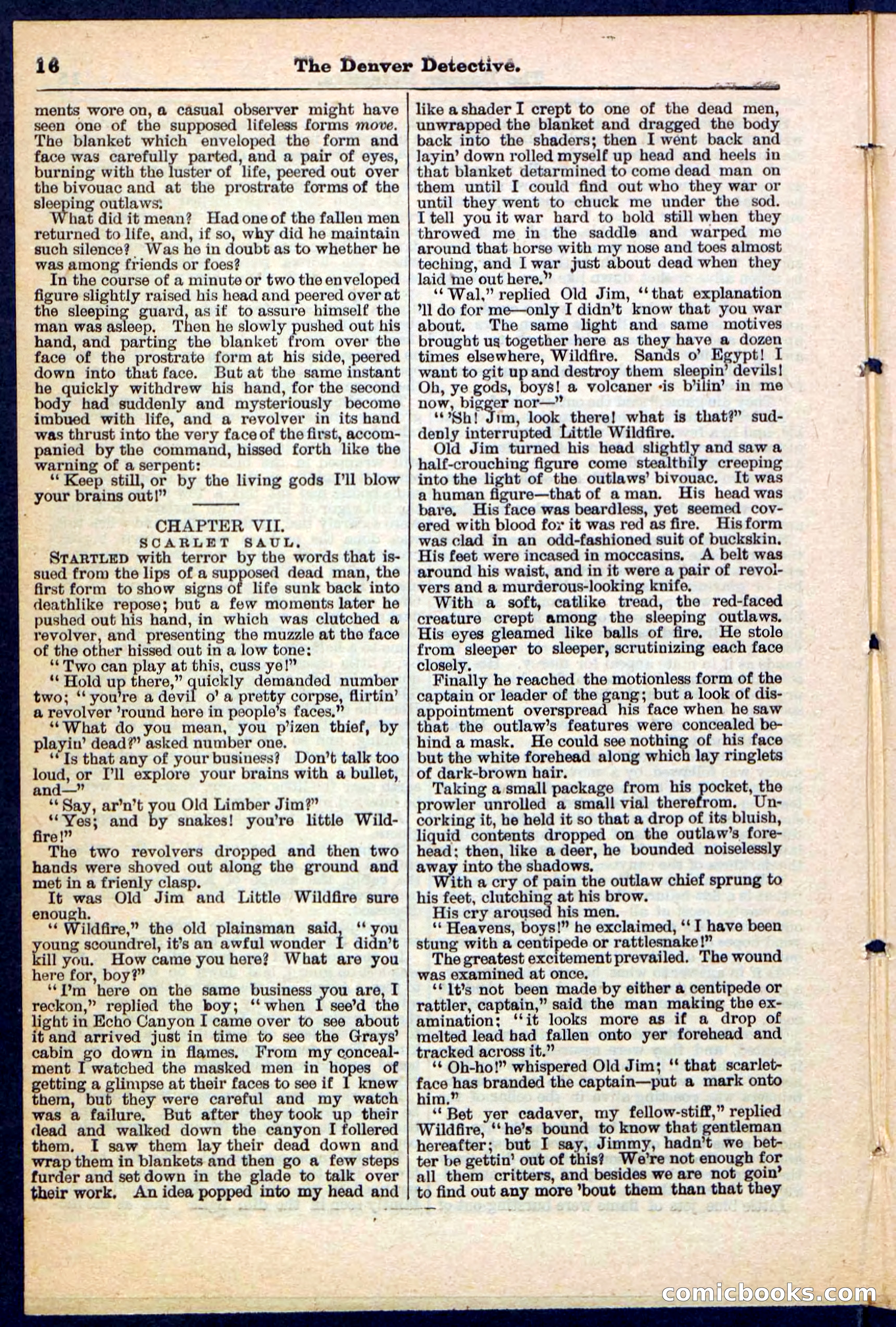 Beadle's Pocket Library No. 215 — page 16 of 32