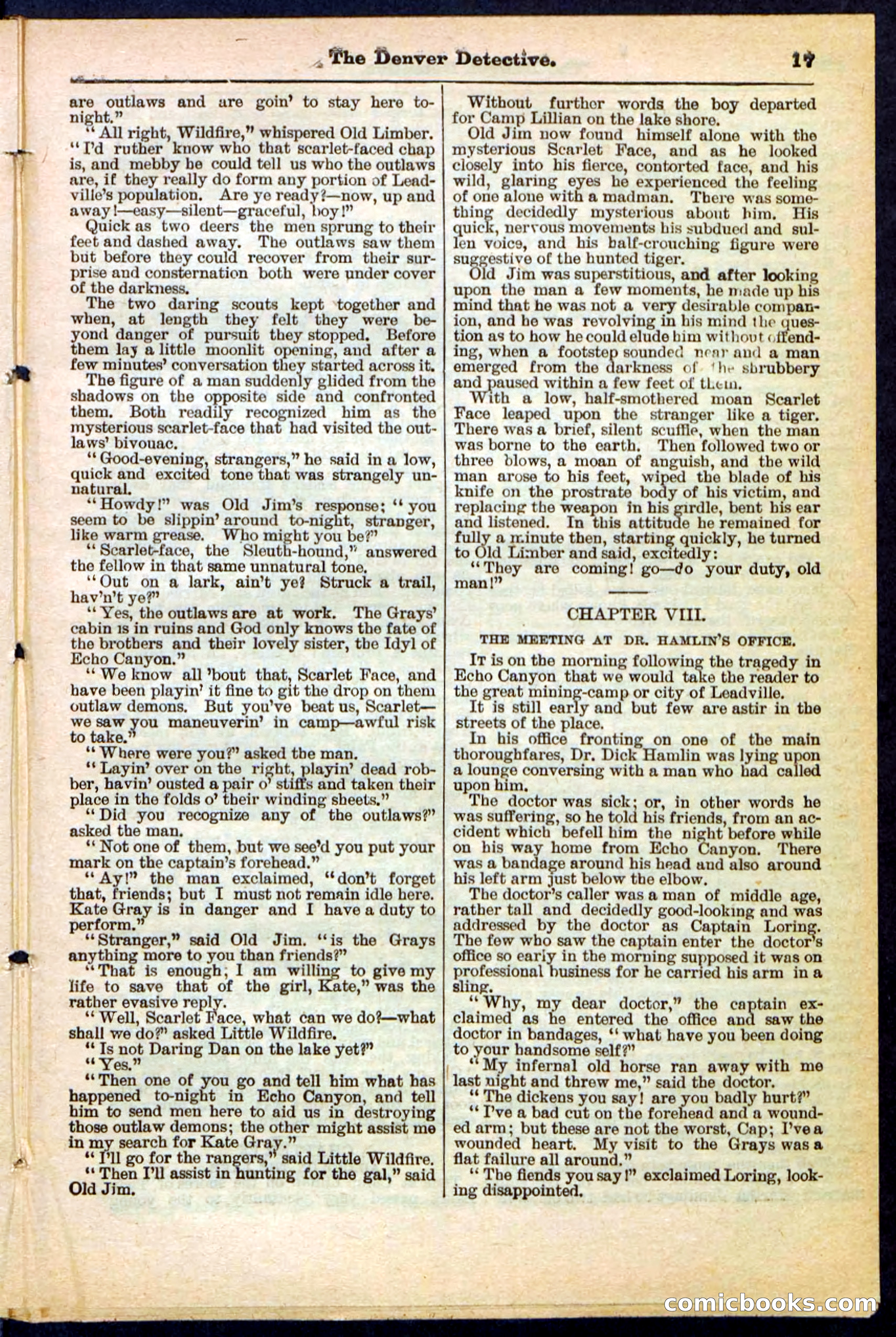 Beadle's Pocket Library No. 215 — page 17 of 32