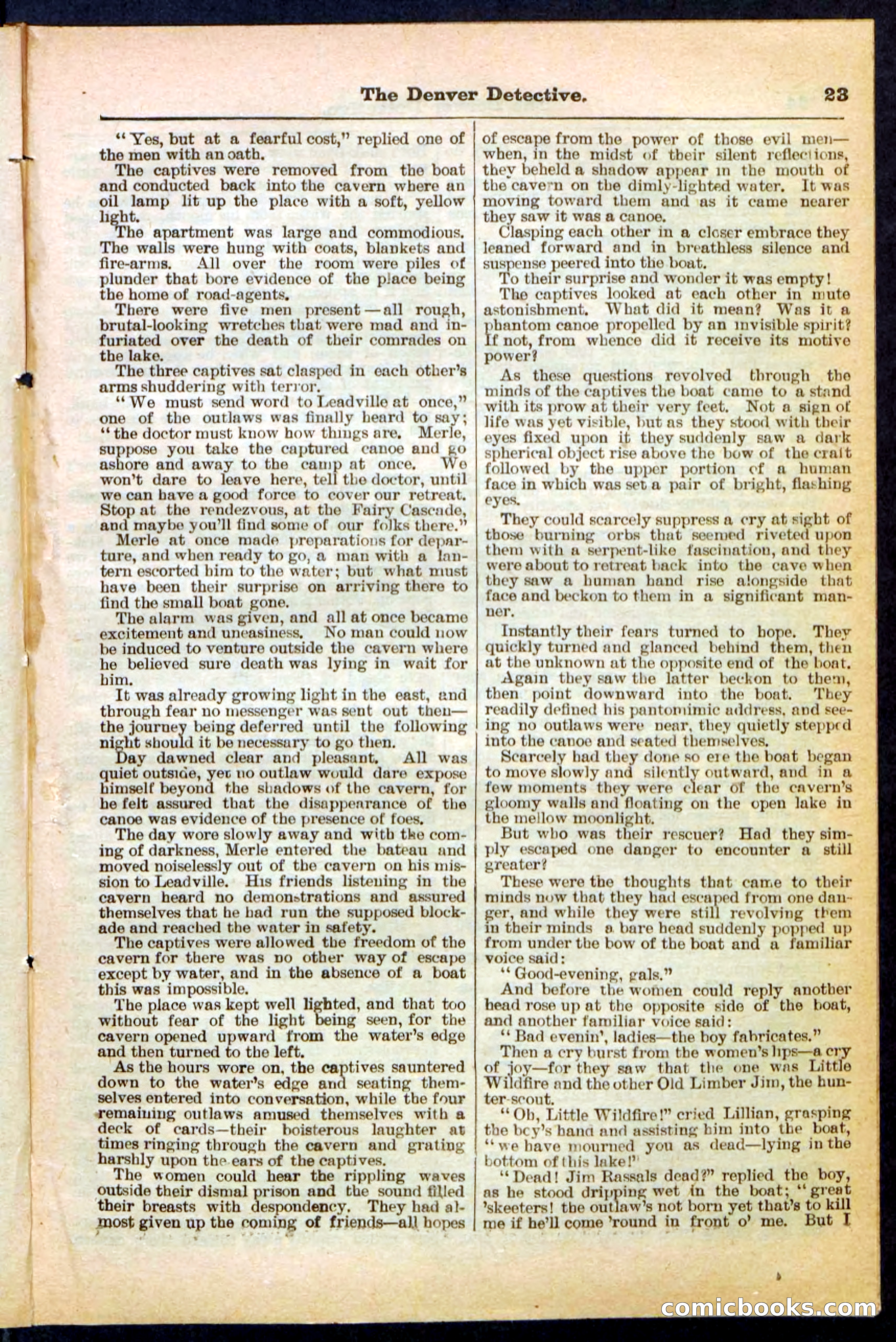 Beadle's Pocket Library No. 215 — page 23 of 32