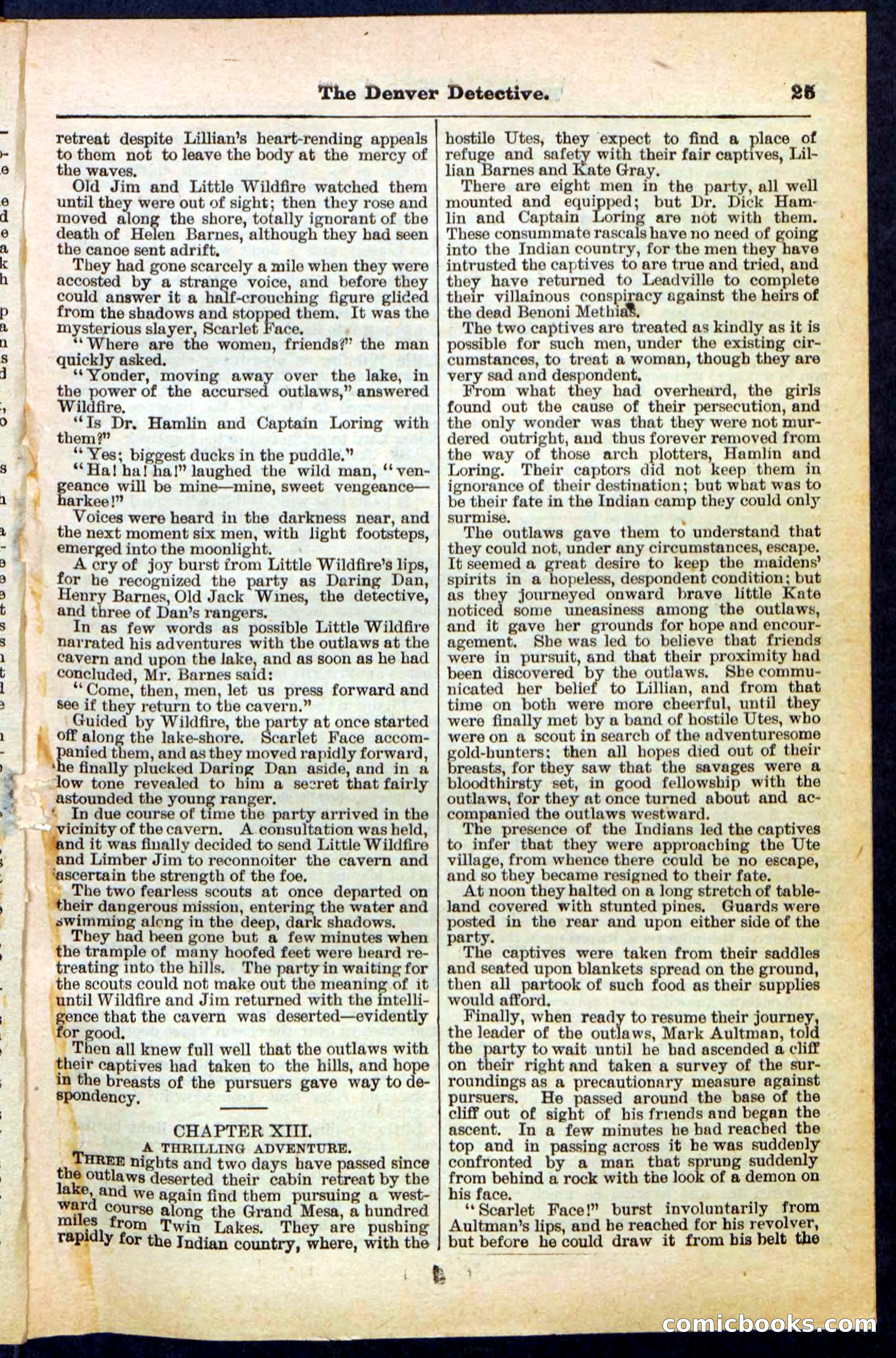 Beadle's Pocket Library No. 215 — page 25 of 32