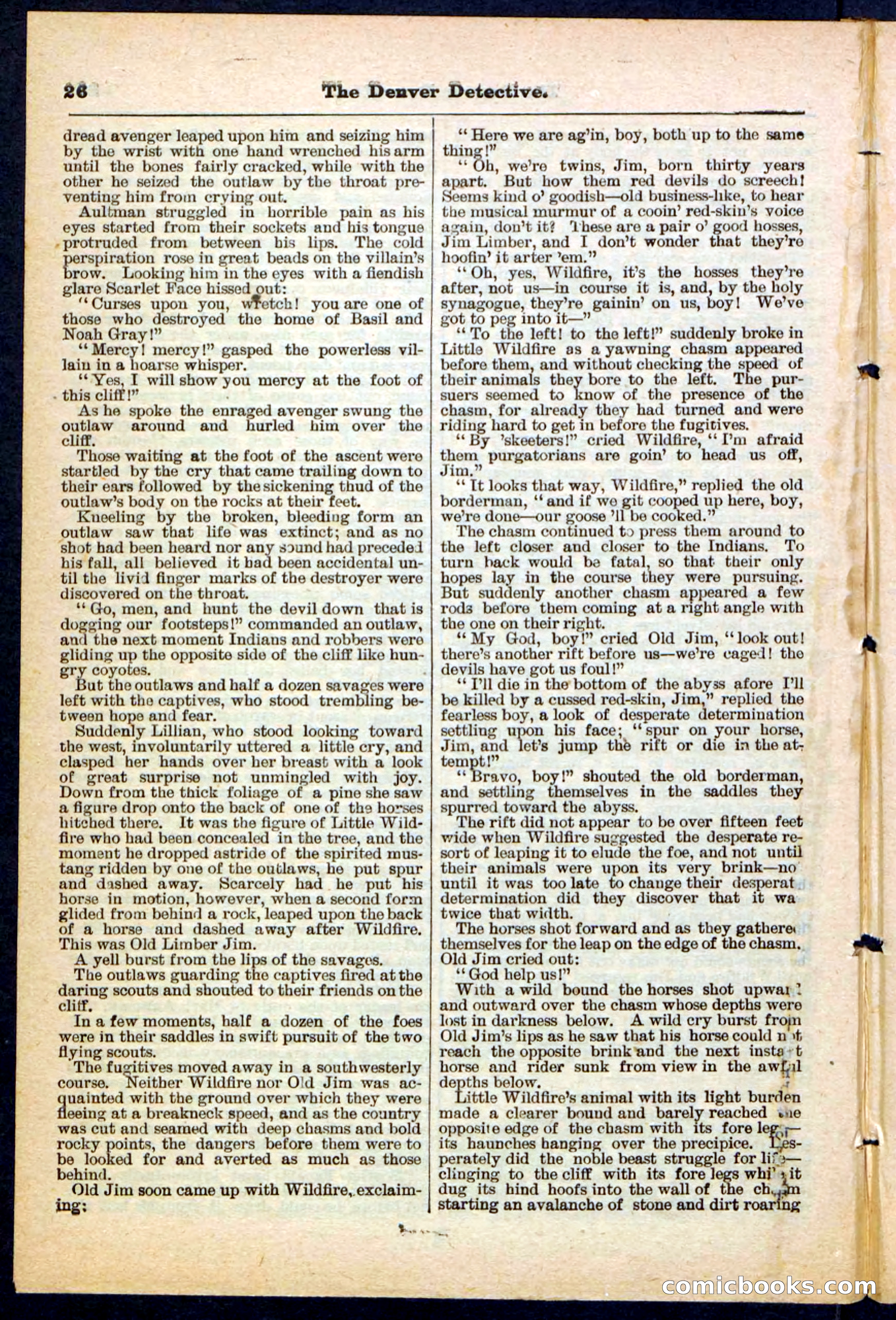 Beadle's Pocket Library No. 215 — page 26 of 32