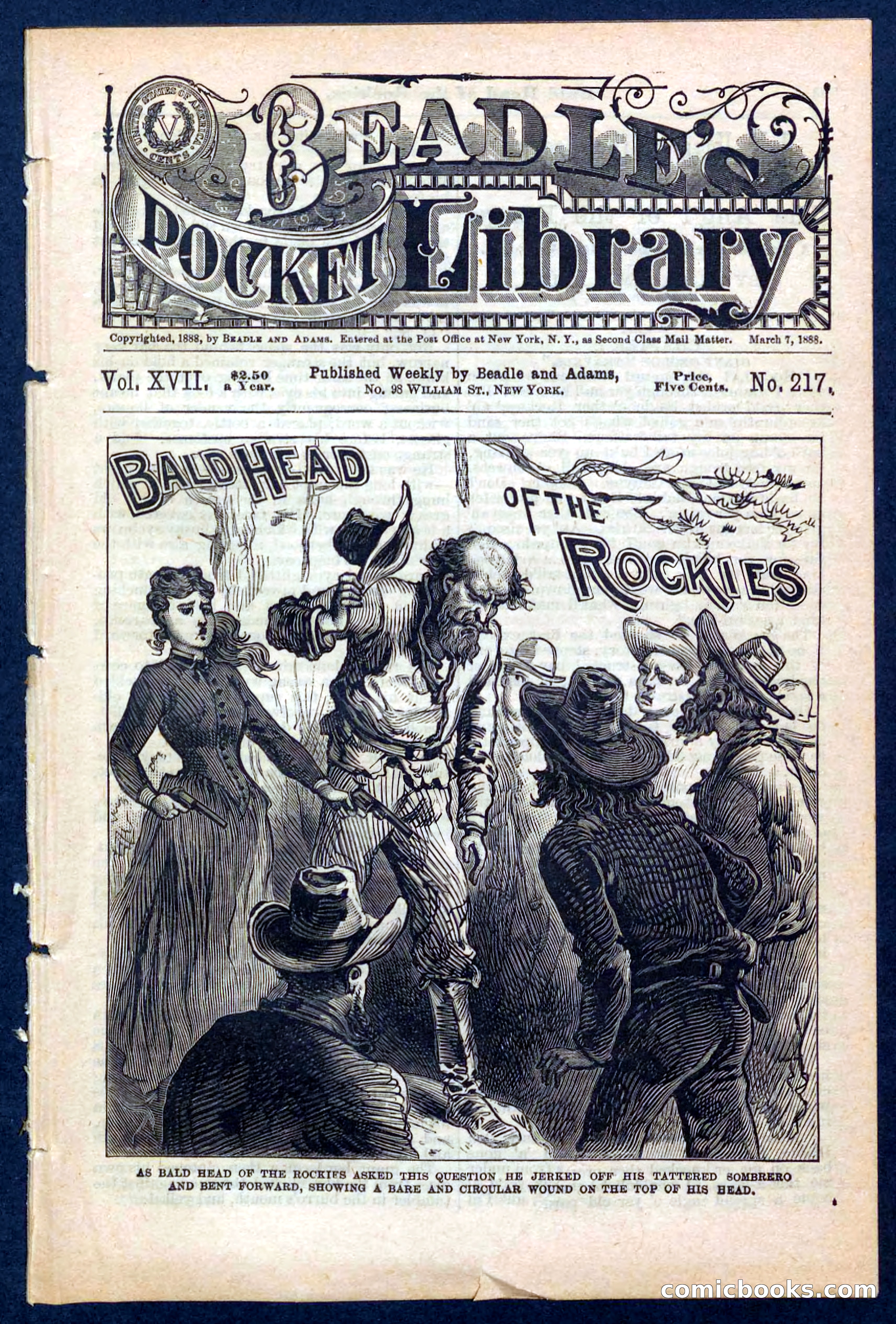 Beadle's Pocket Library No. 217 — page 1 of 32