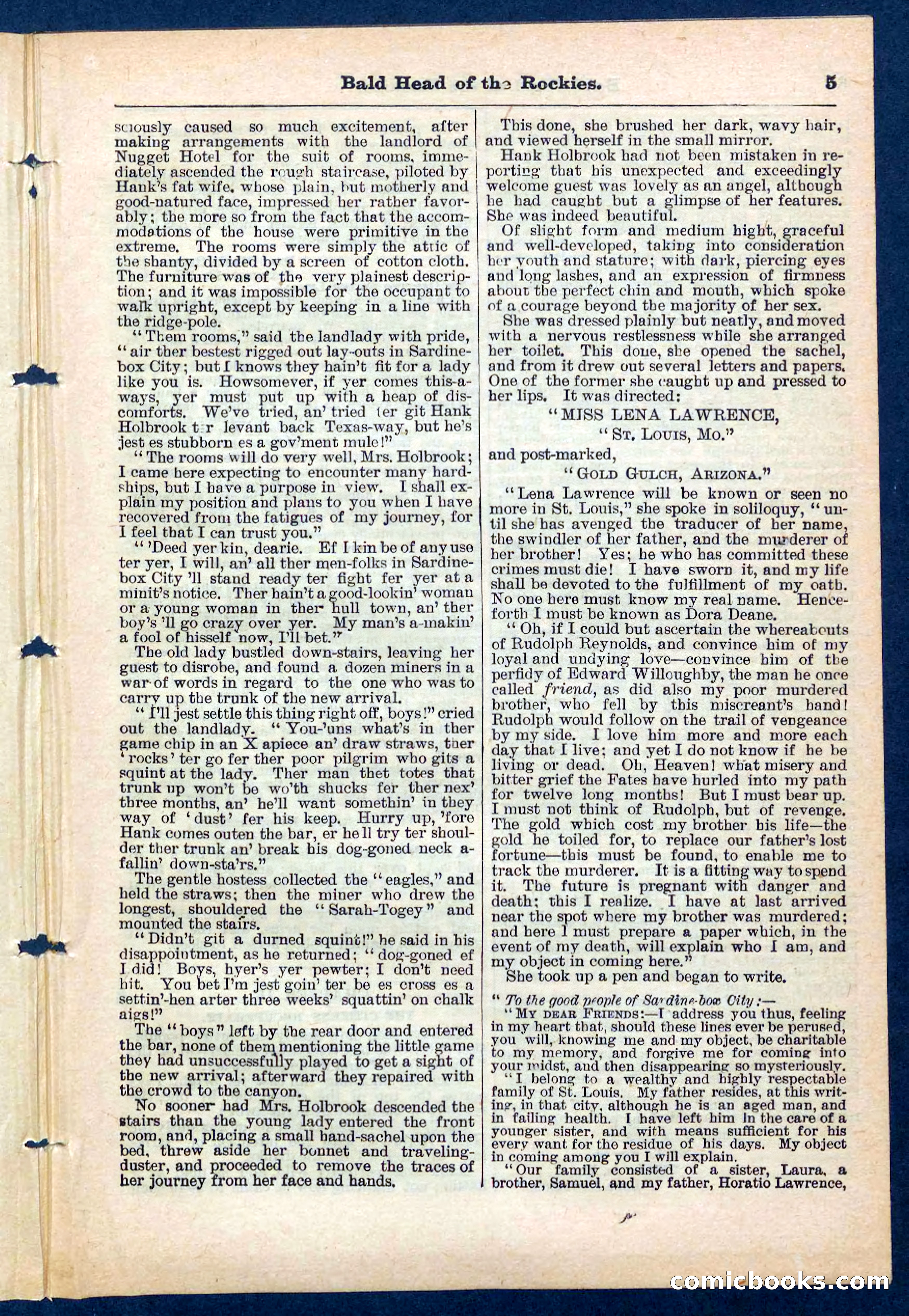 Beadle's Pocket Library No. 217 — page 5 of 32