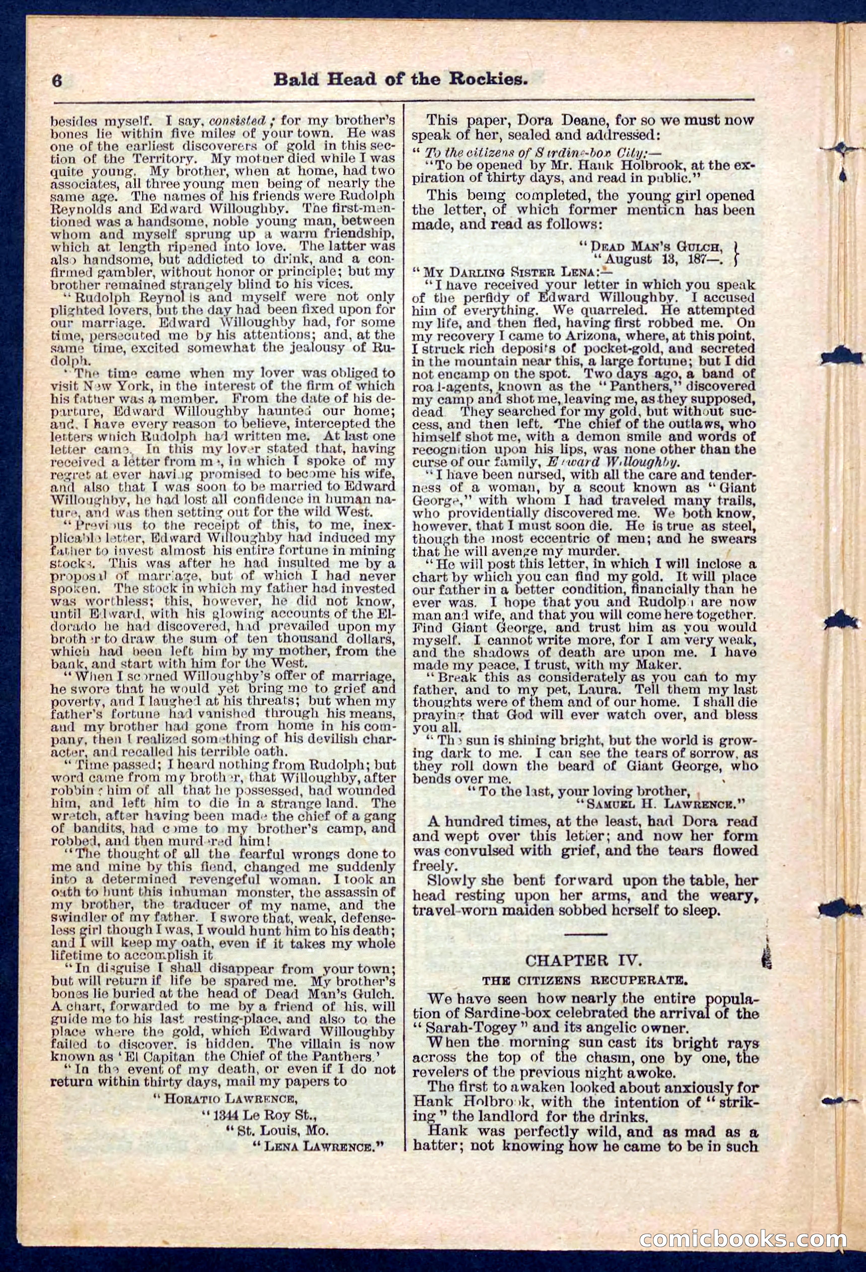 Beadle's Pocket Library No. 217 — page 6 of 32