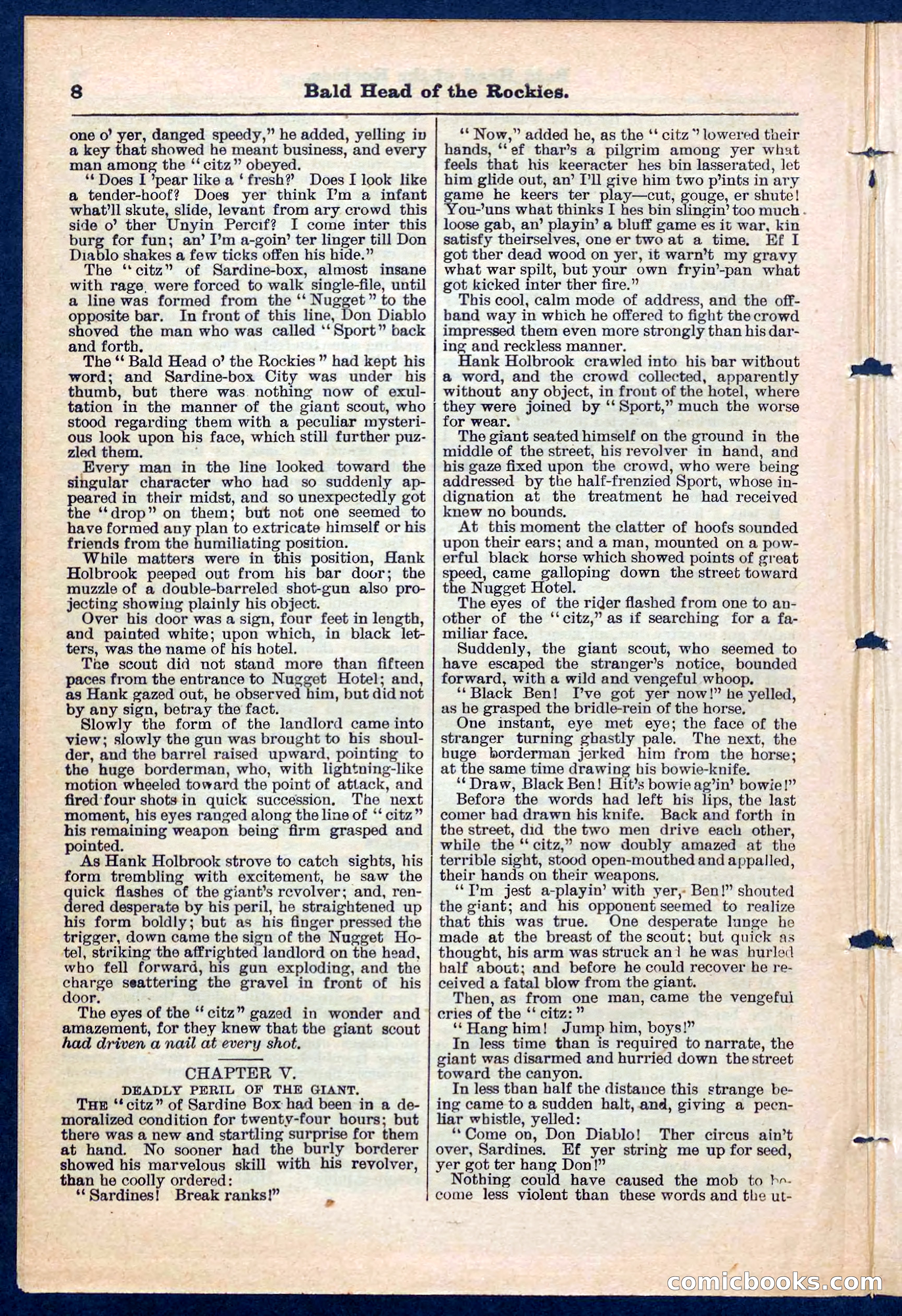 Beadle's Pocket Library No. 217 — page 8 of 32