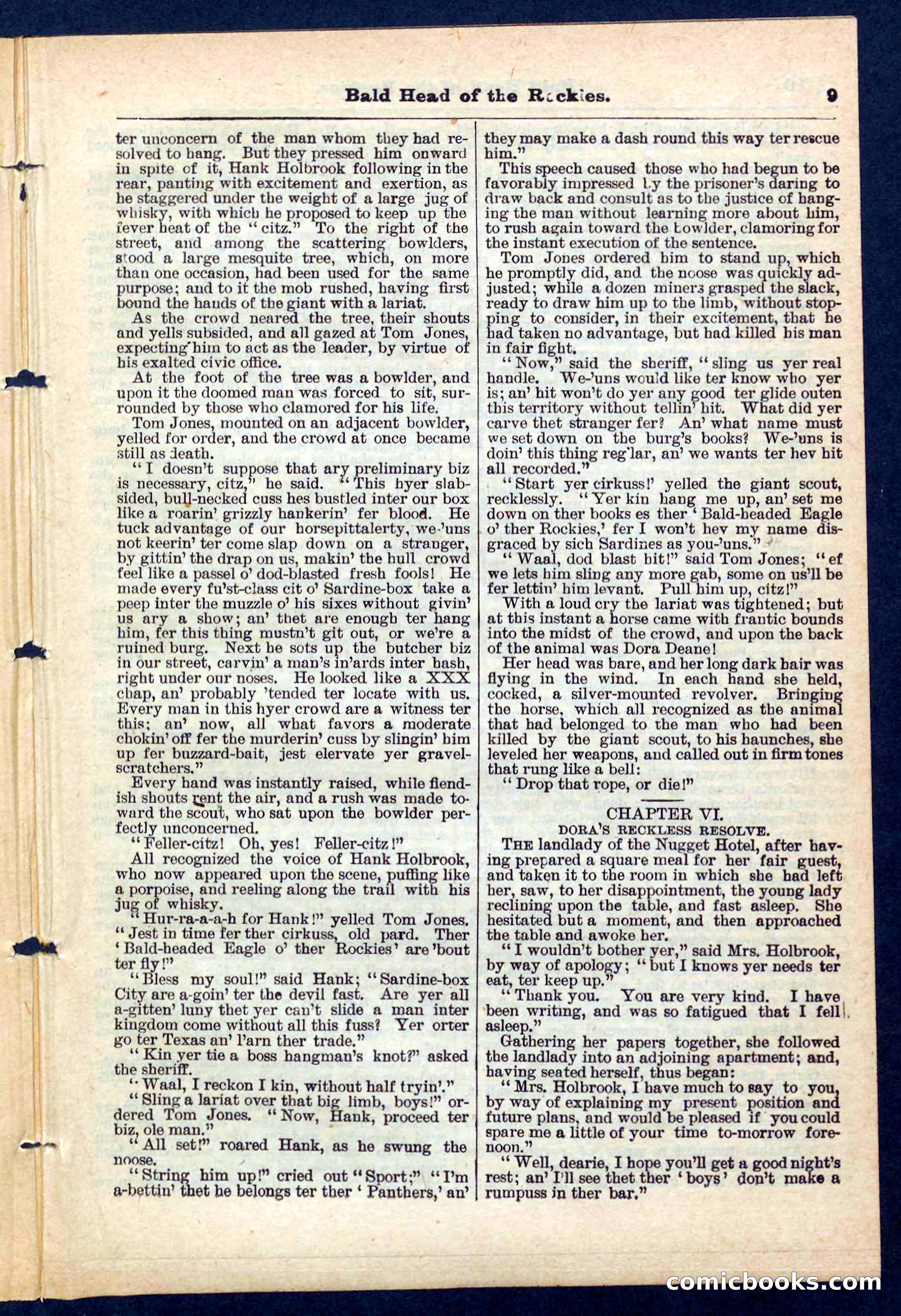 Beadle's Pocket Library No. 217 — page 9 of 32