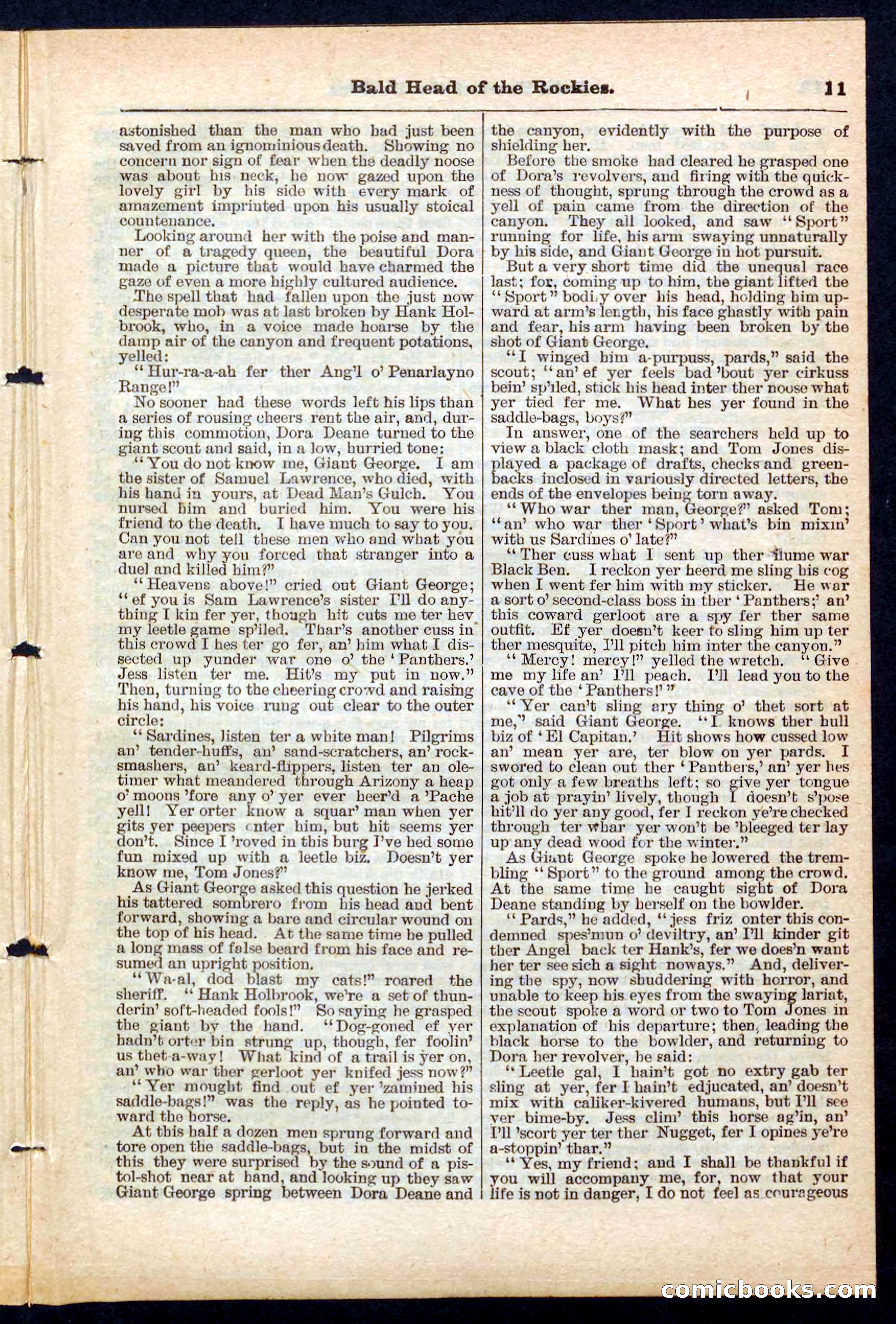 Beadle's Pocket Library No. 217 — page 11 of 32