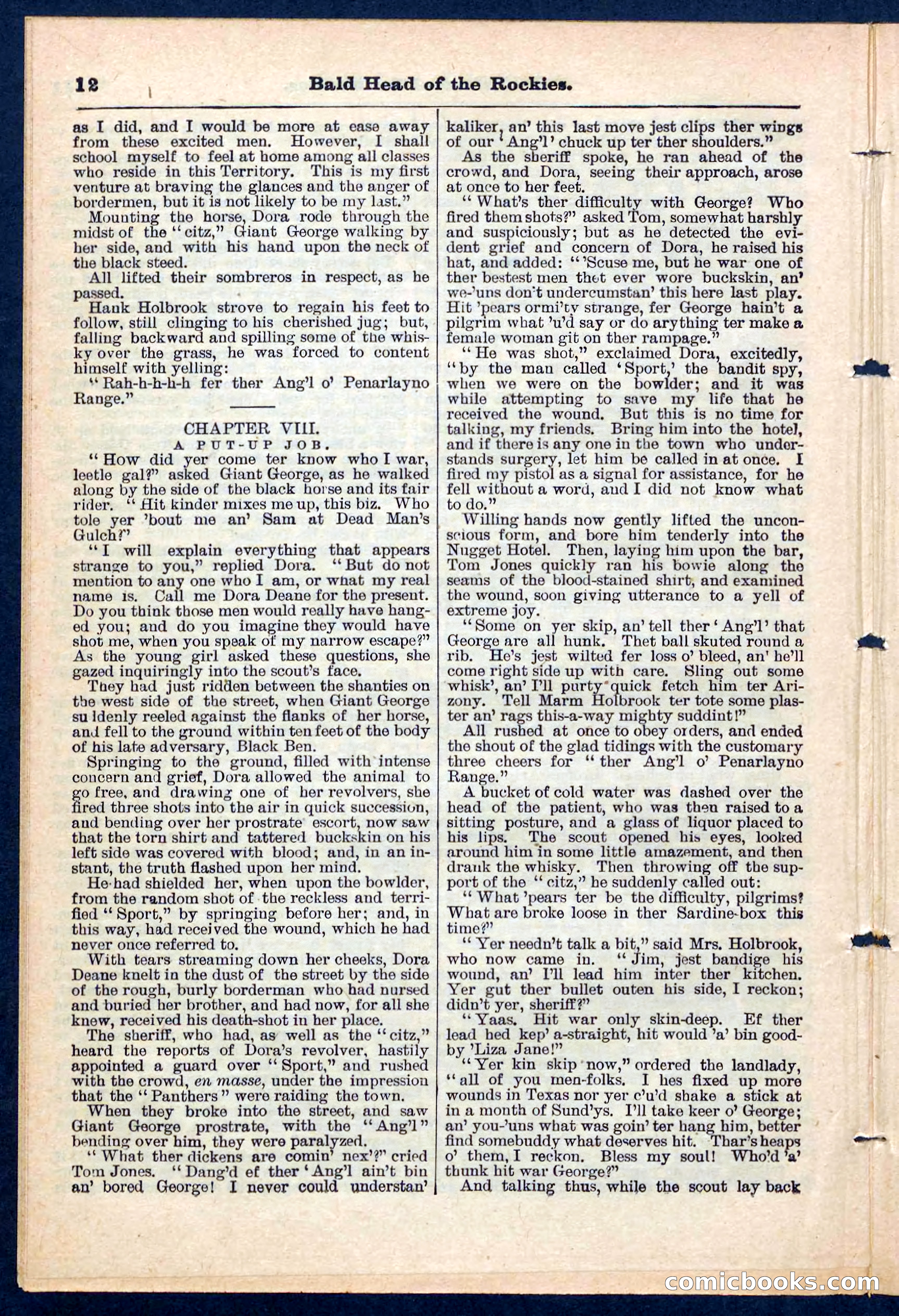 Beadle's Pocket Library No. 217 — page 12 of 32