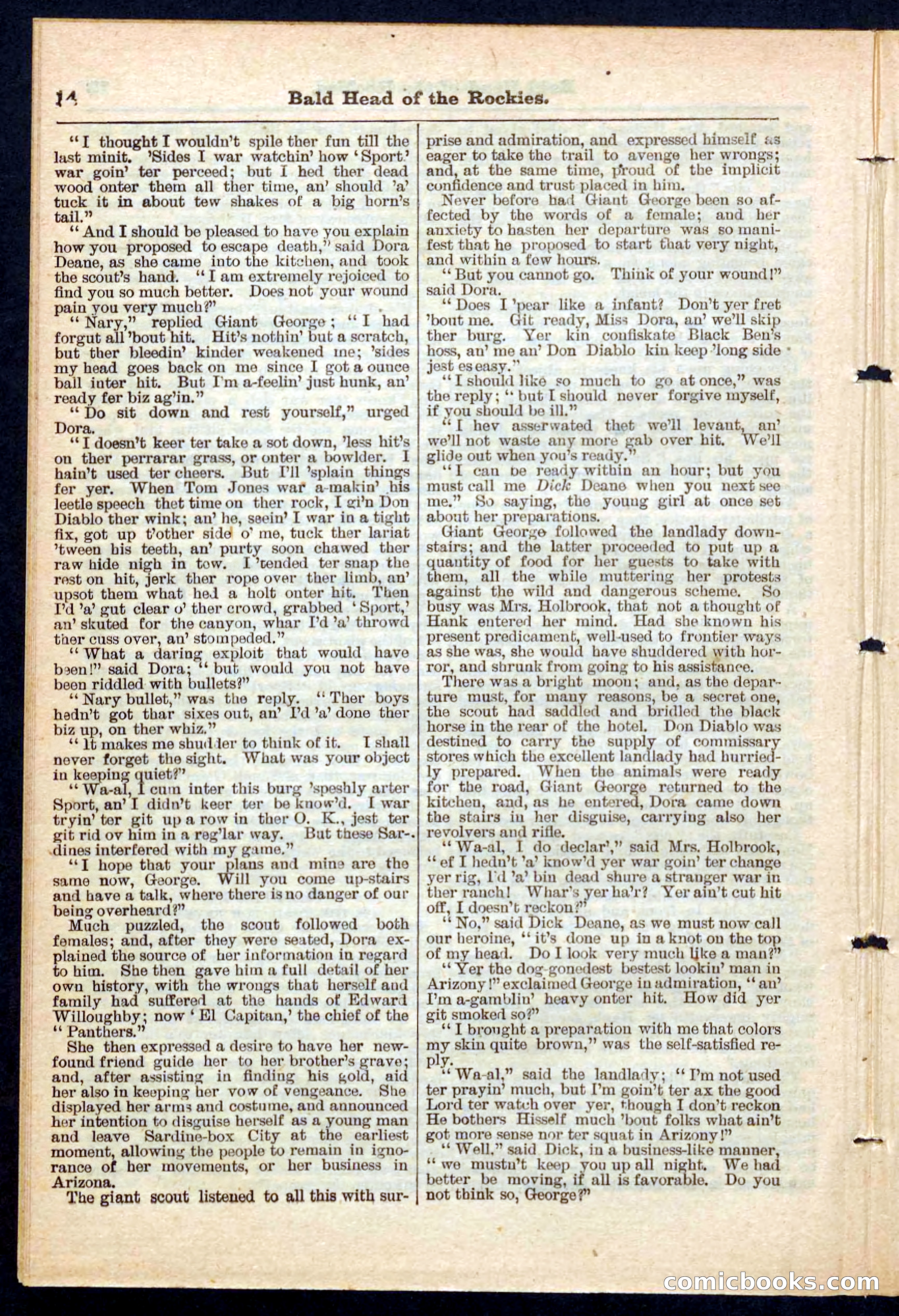 Beadle's Pocket Library No. 217 — page 14 of 32