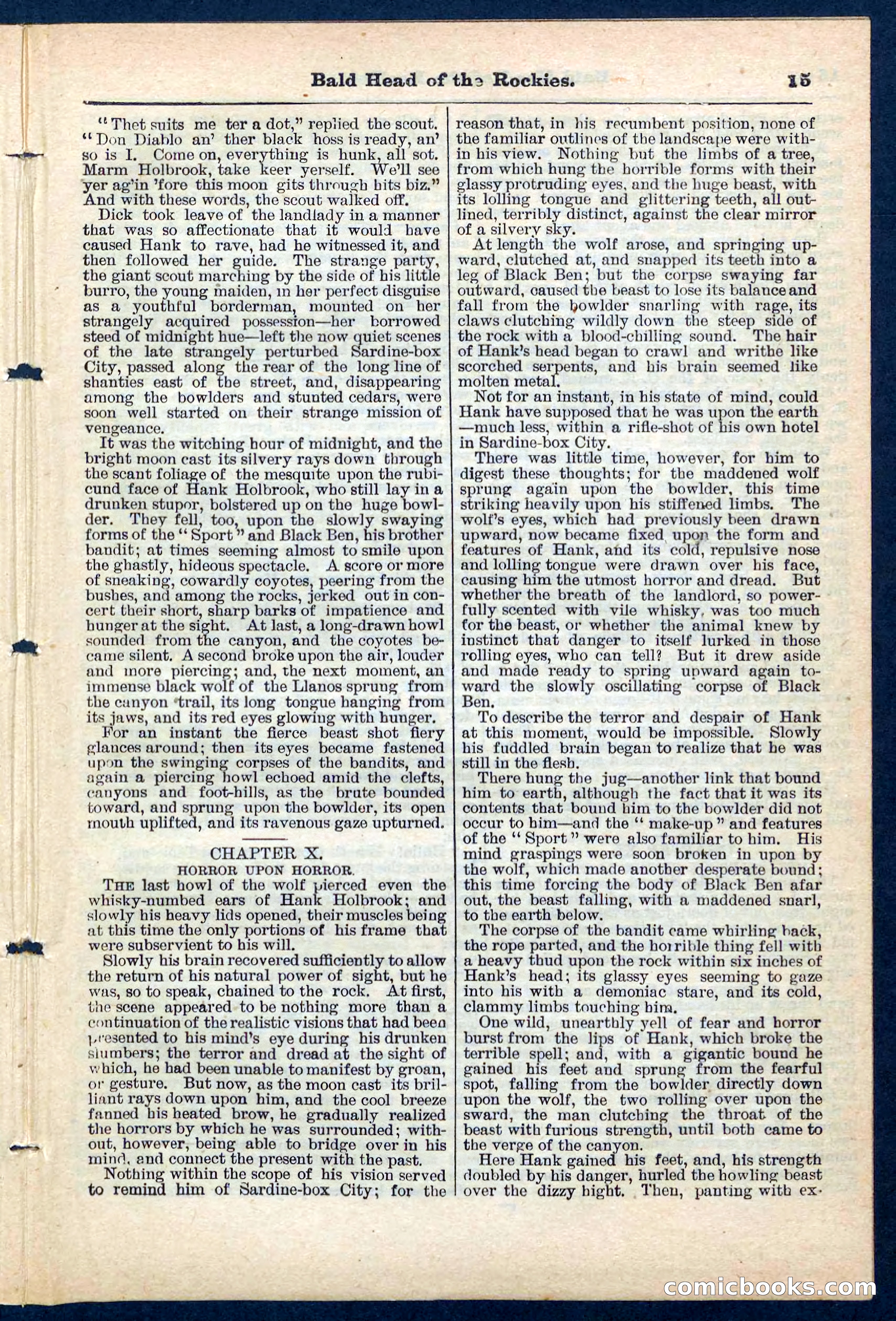 Beadle's Pocket Library No. 217 — page 15 of 32