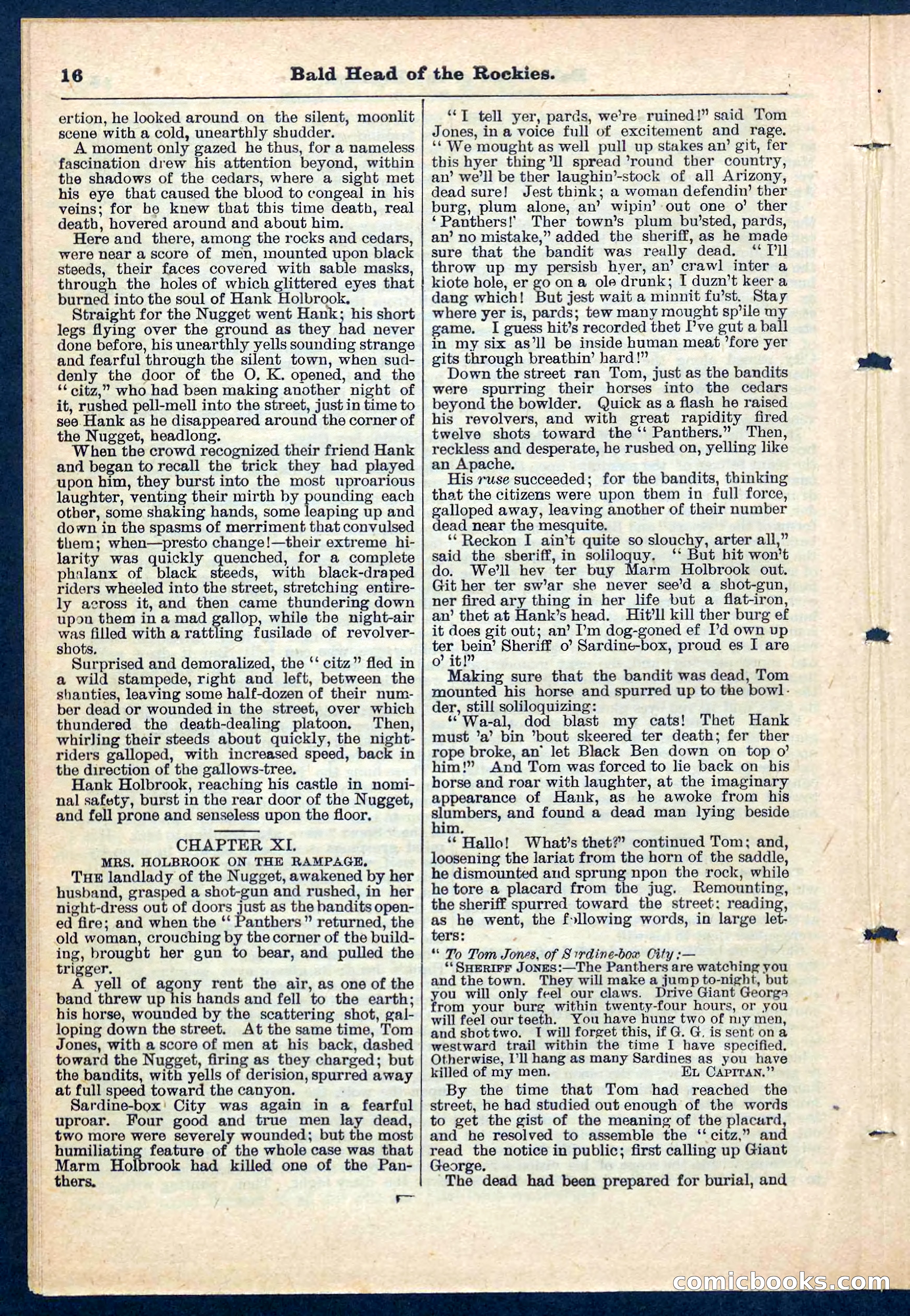 Beadle's Pocket Library No. 217 — page 16 of 32