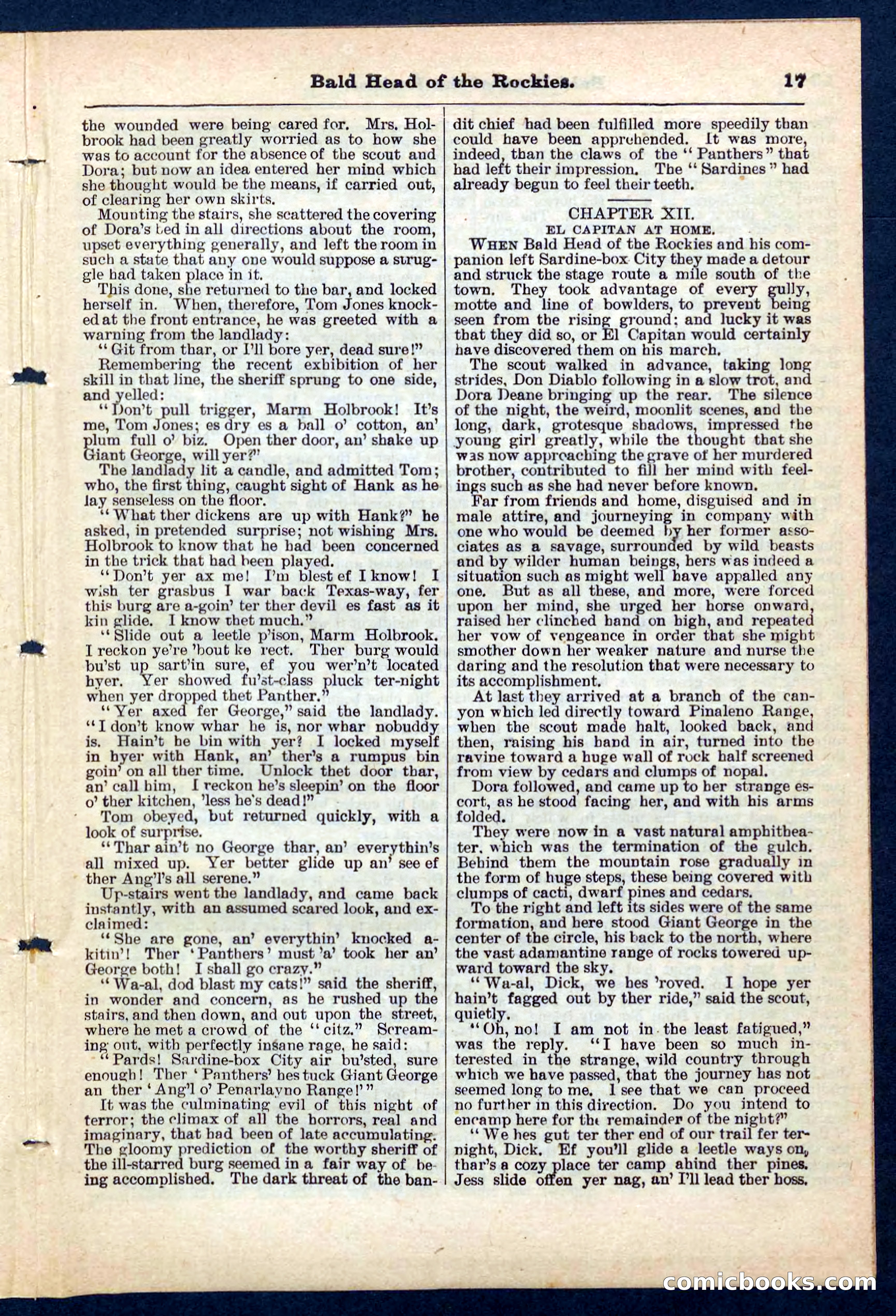 Beadle's Pocket Library No. 217 — page 17 of 32