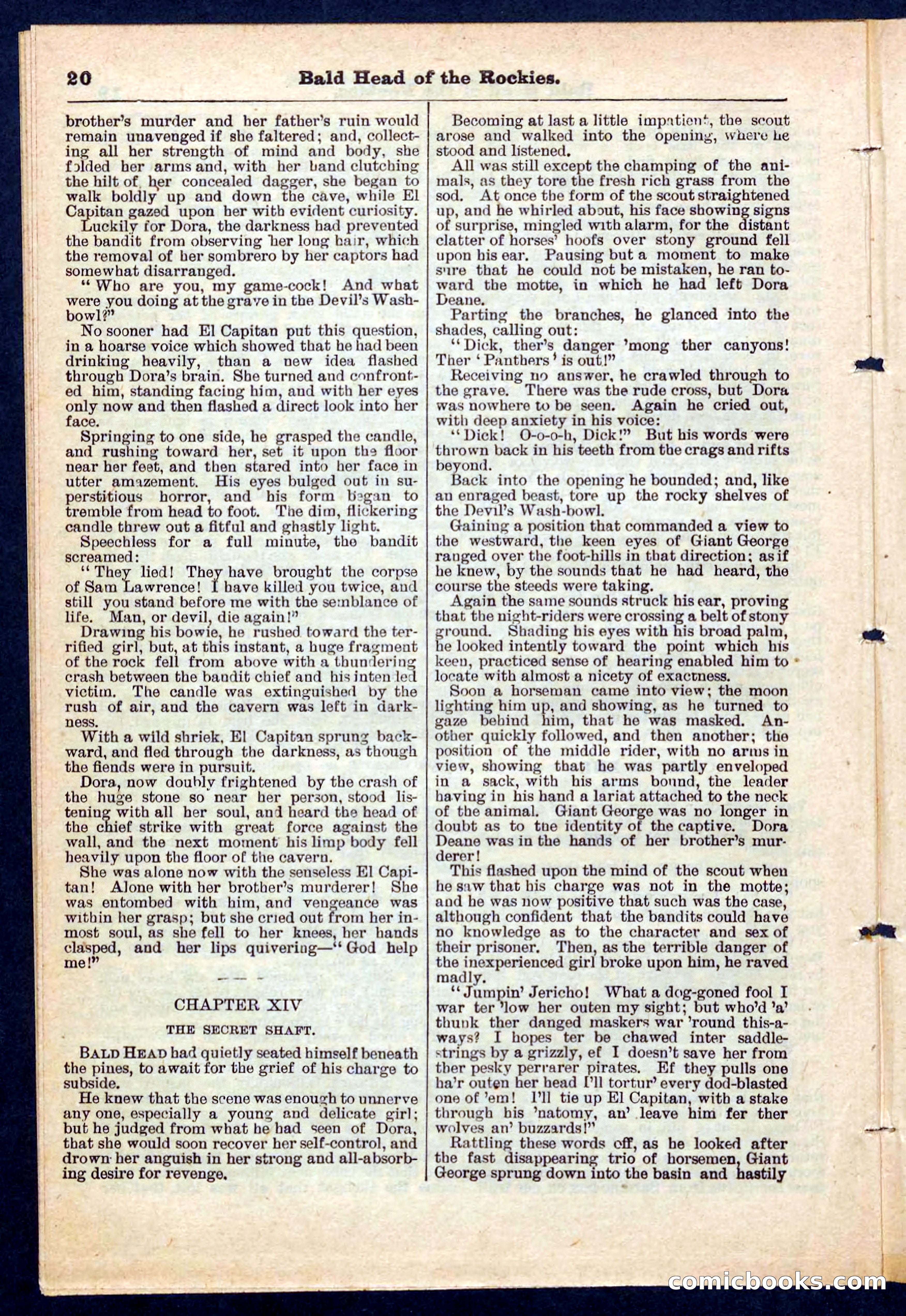 Beadle's Pocket Library No. 217 — page 20 of 32