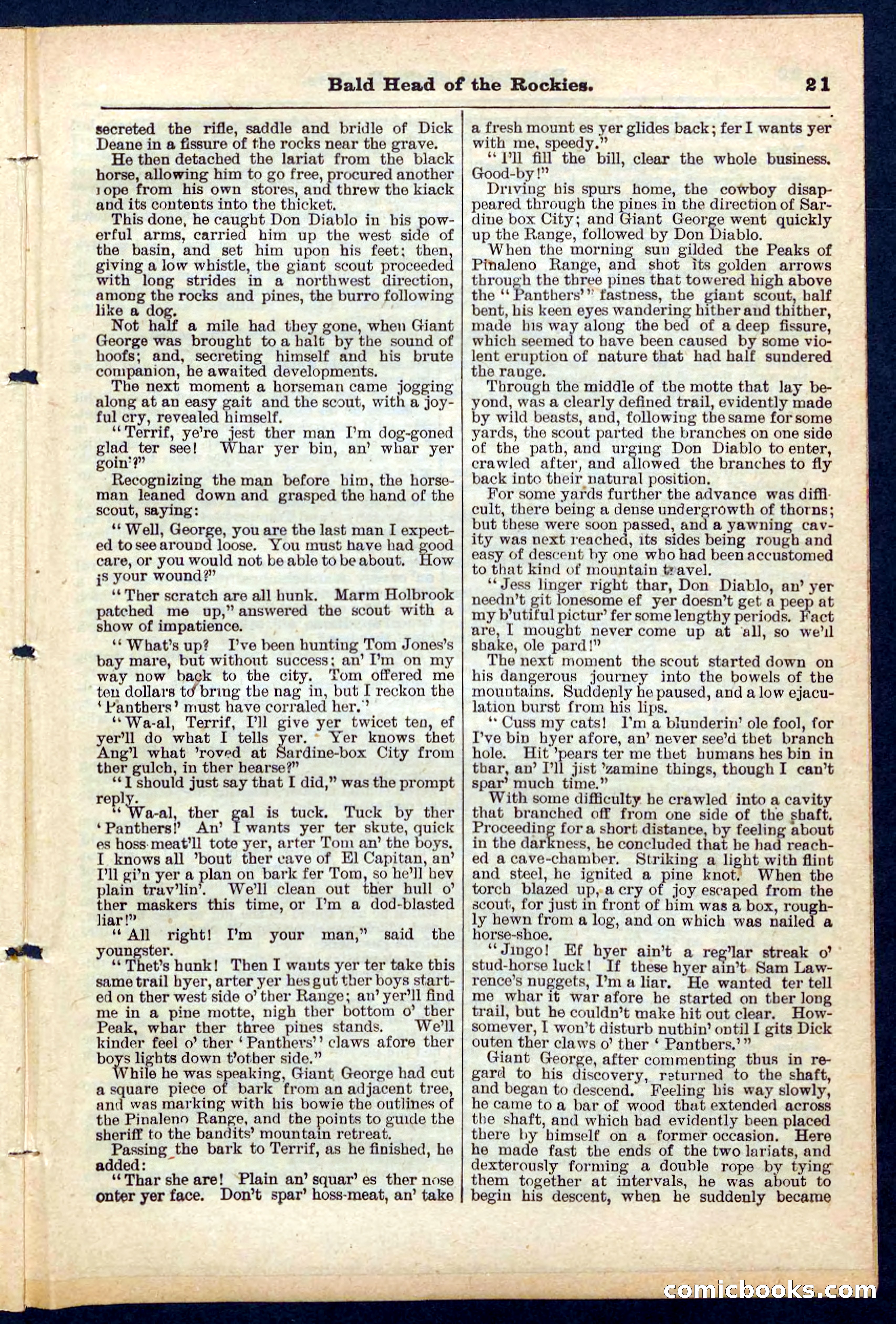 Beadle's Pocket Library No. 217 — page 21 of 32