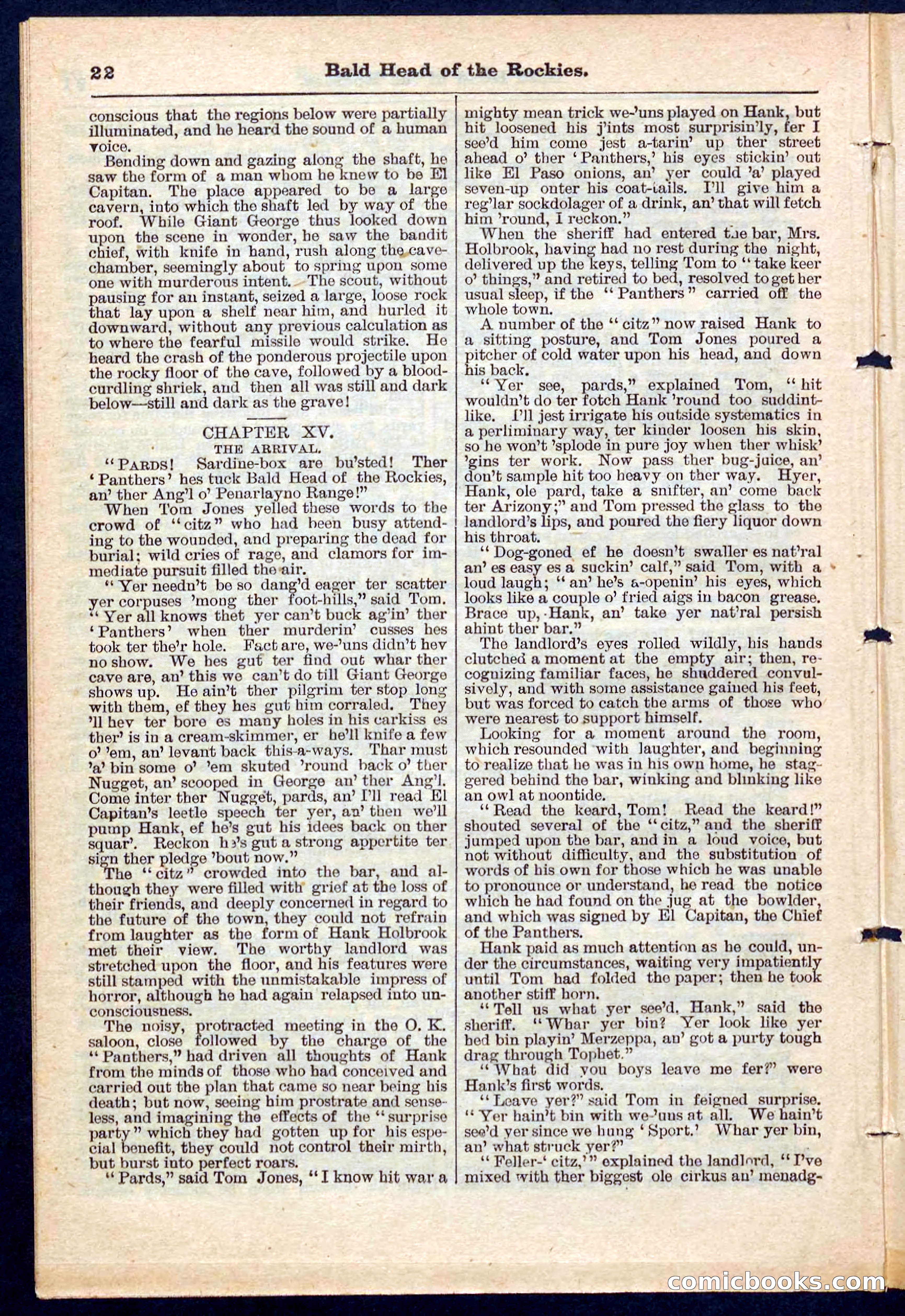 Beadle's Pocket Library No. 217 — page 22 of 32