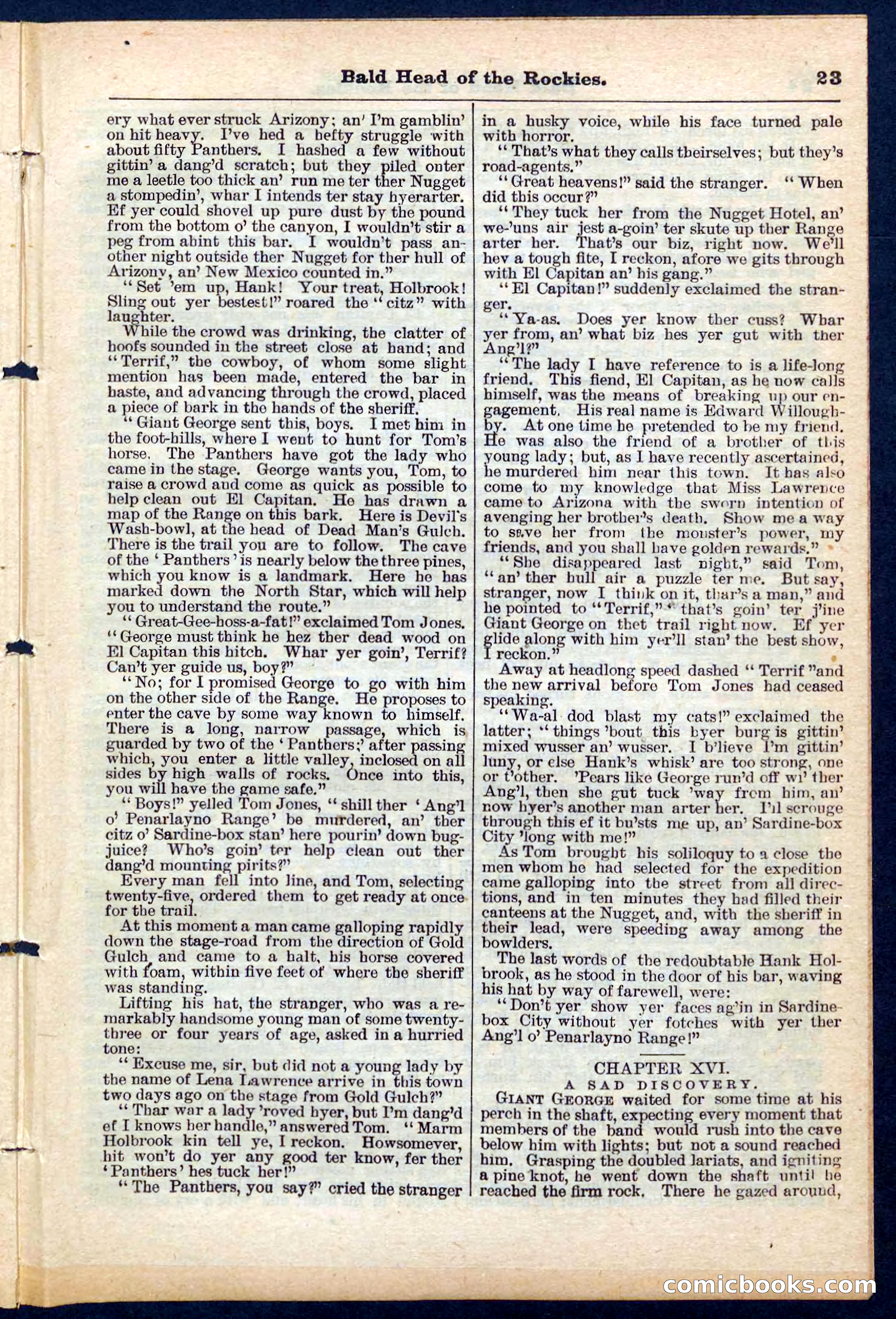 Beadle's Pocket Library No. 217 — page 23 of 32