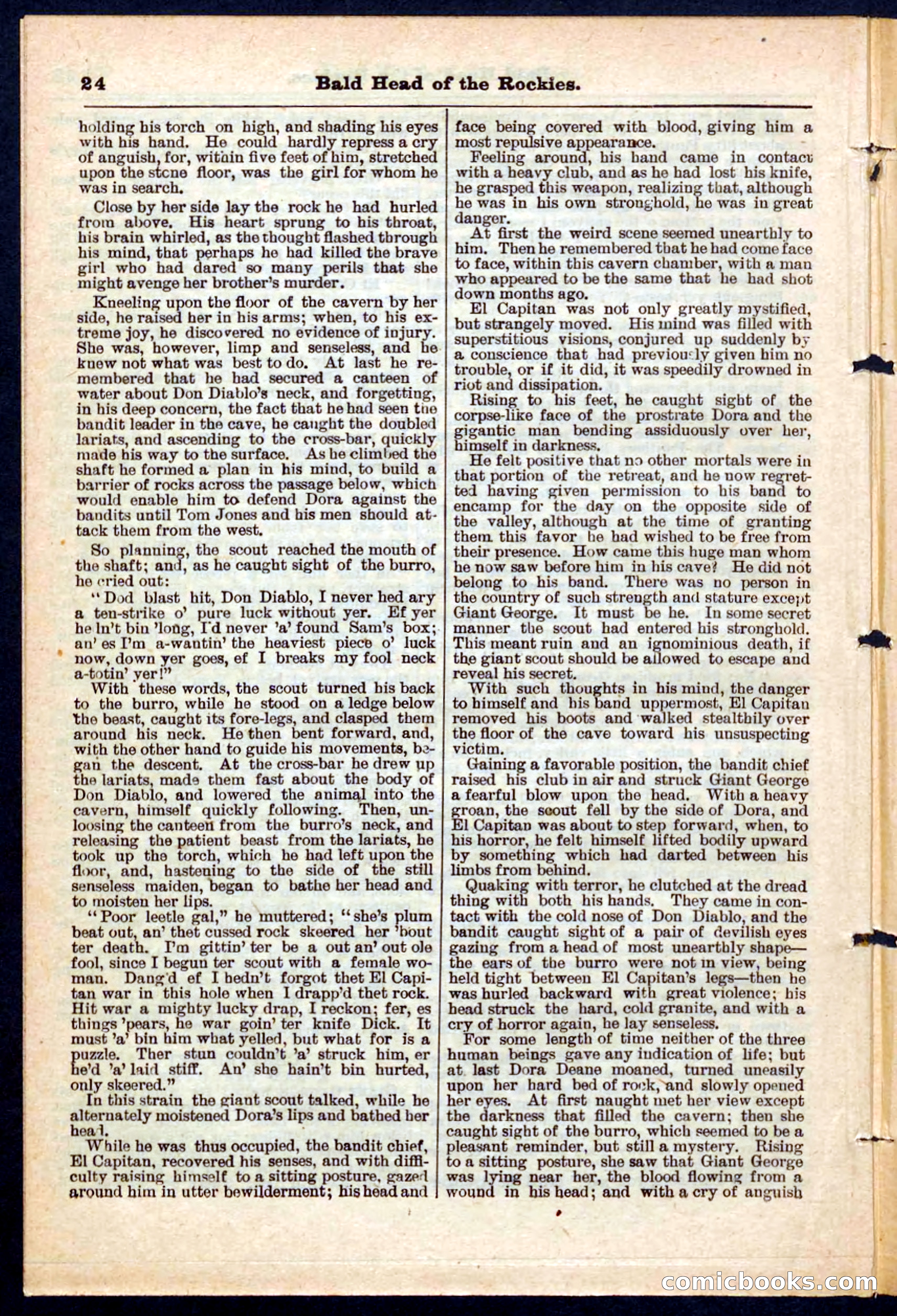 Beadle's Pocket Library No. 217 — page 24 of 32