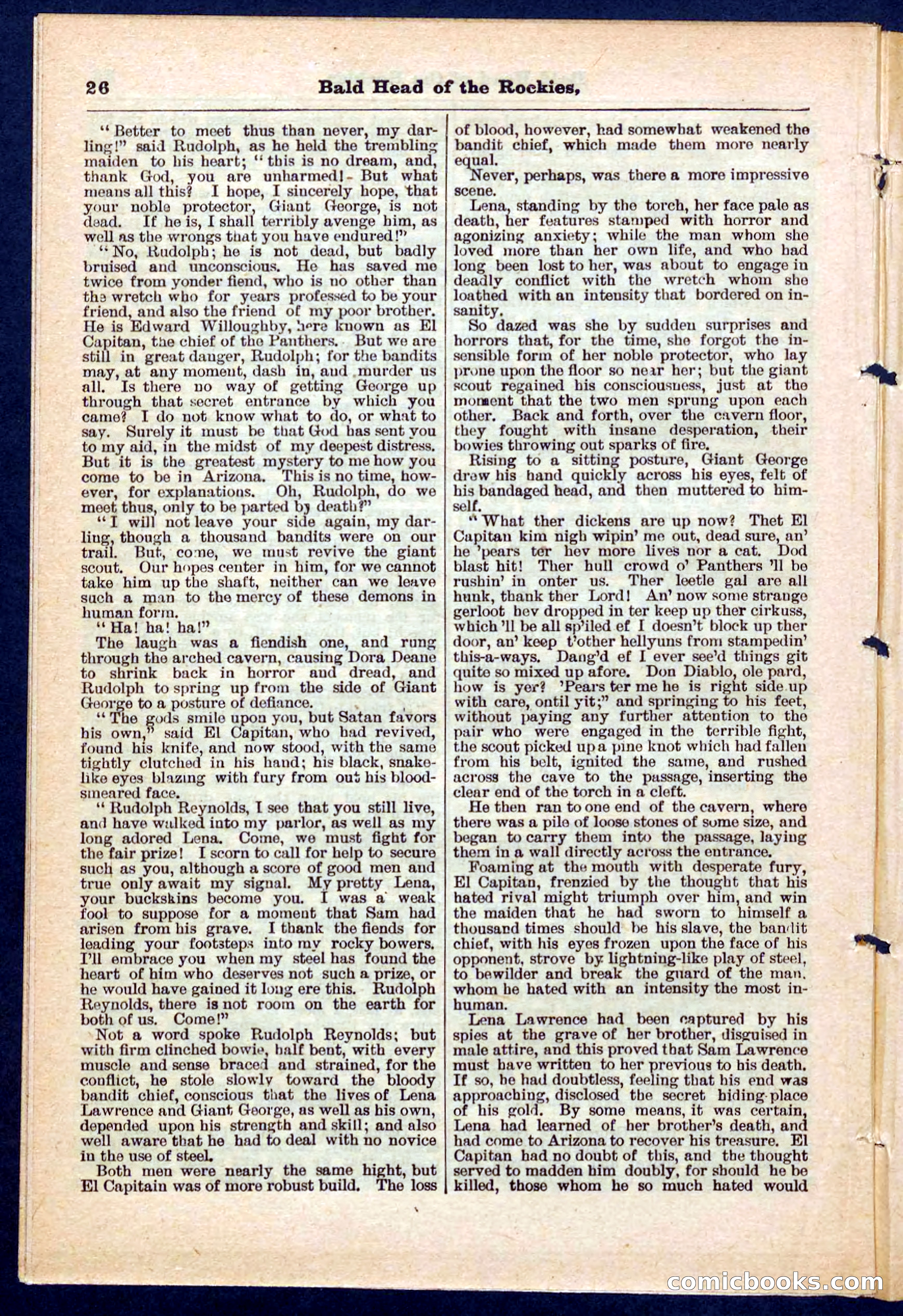 Beadle's Pocket Library No. 217 — page 26 of 32