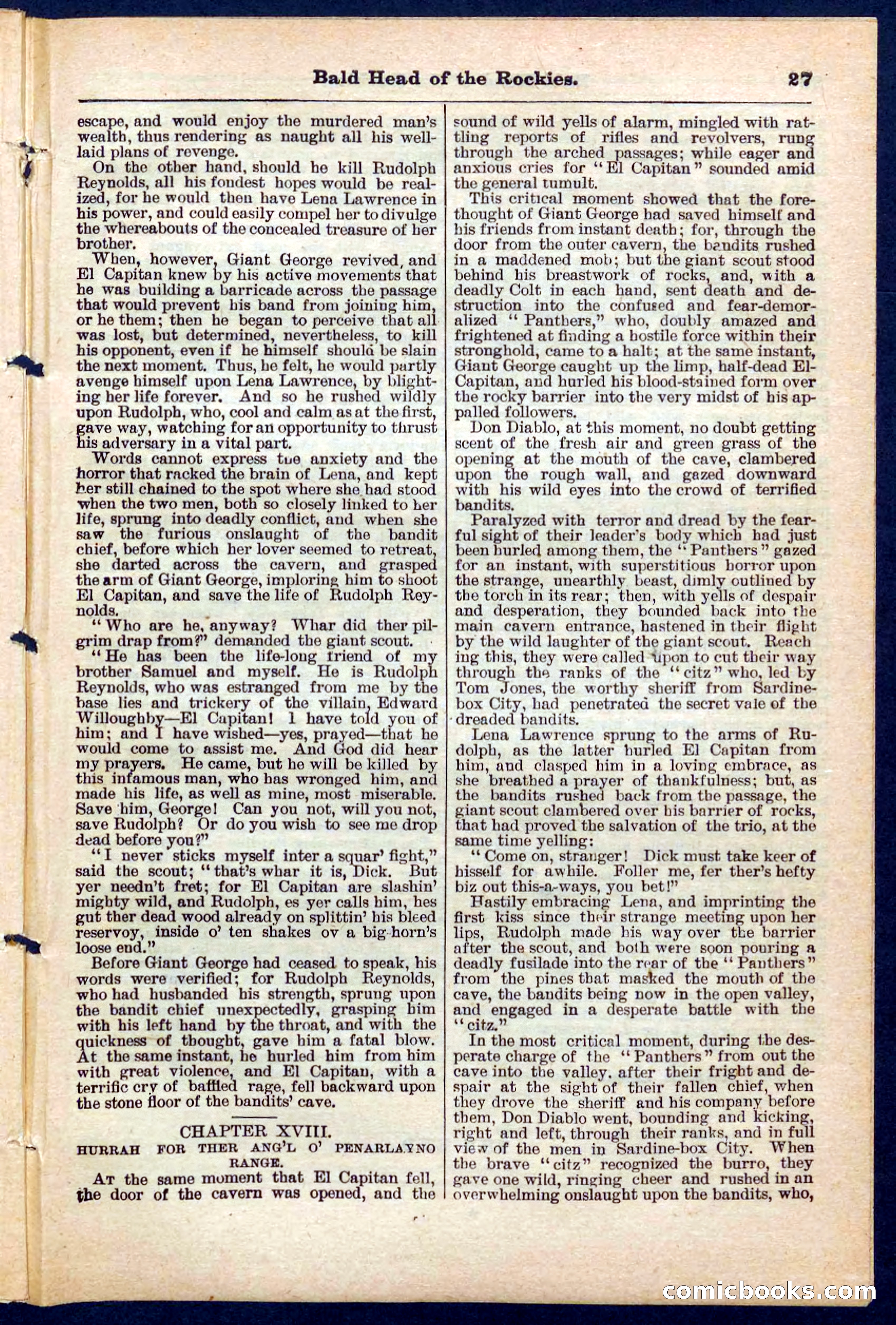 Beadle's Pocket Library No. 217 — page 27 of 32