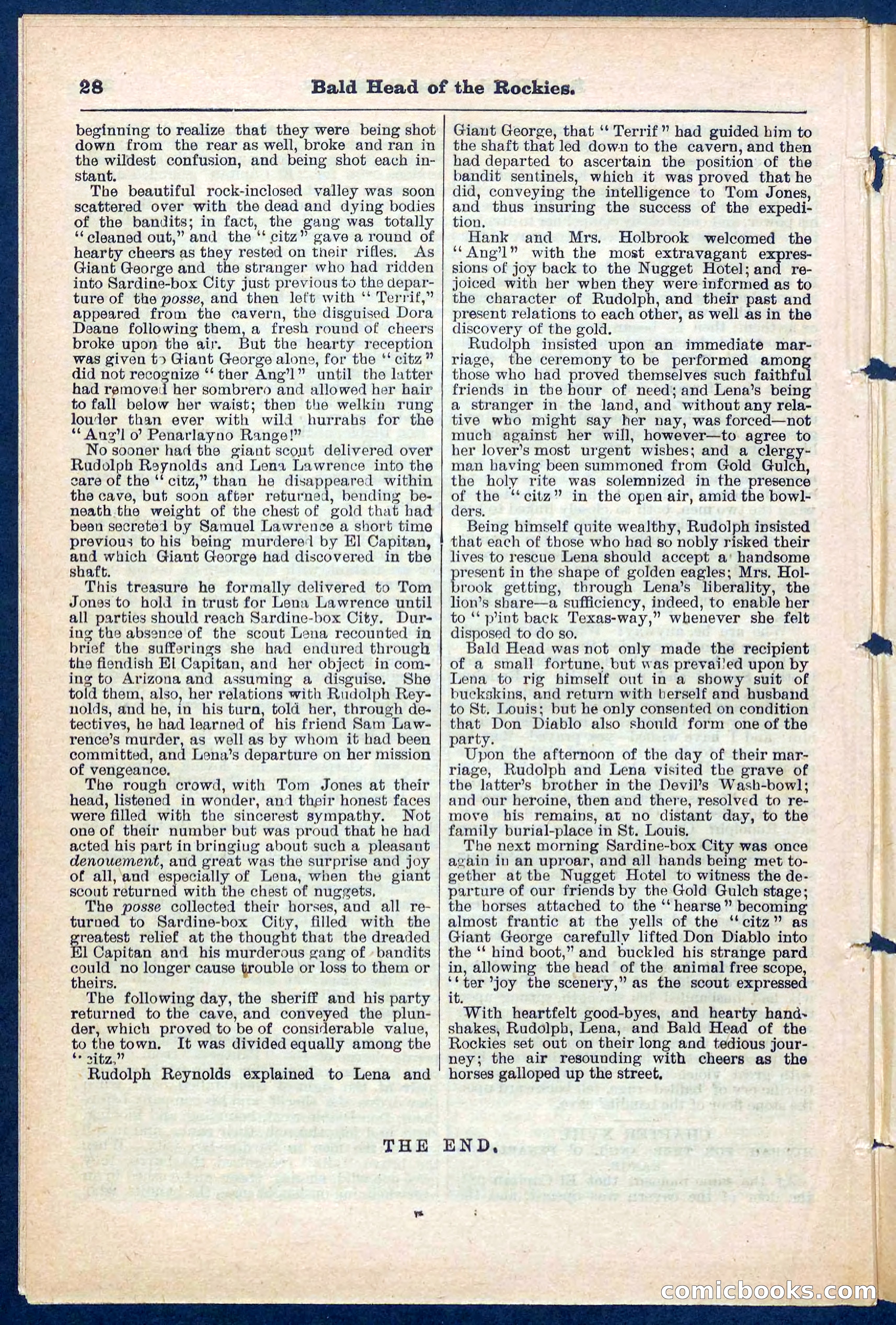 Beadle's Pocket Library No. 217 — page 28 of 32