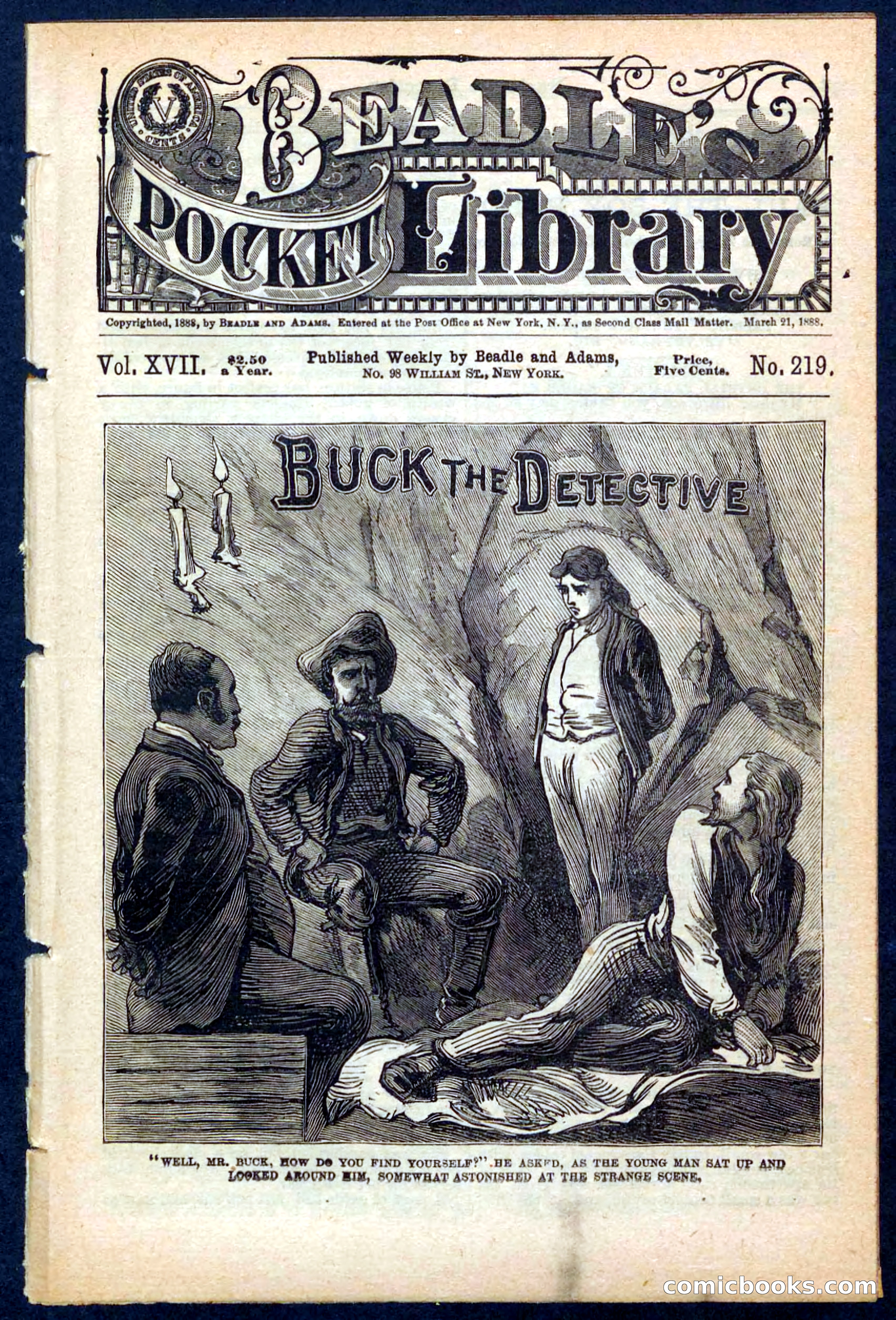 Beadle's Pocket Library No. 219: Buck the Detective — page 1 of 32
