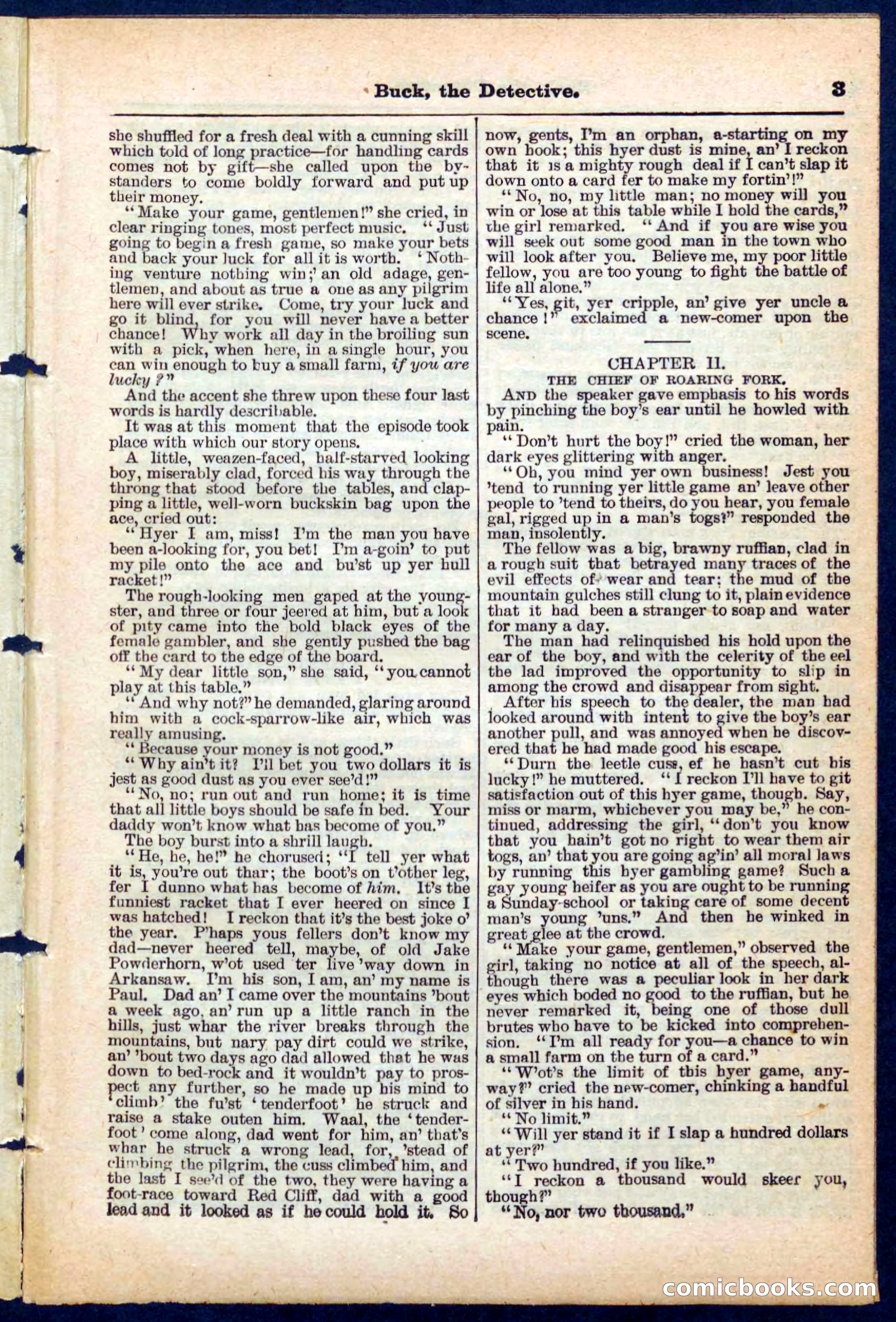 Beadle's Pocket Library No. 219: Buck the Detective — page 3 of 32